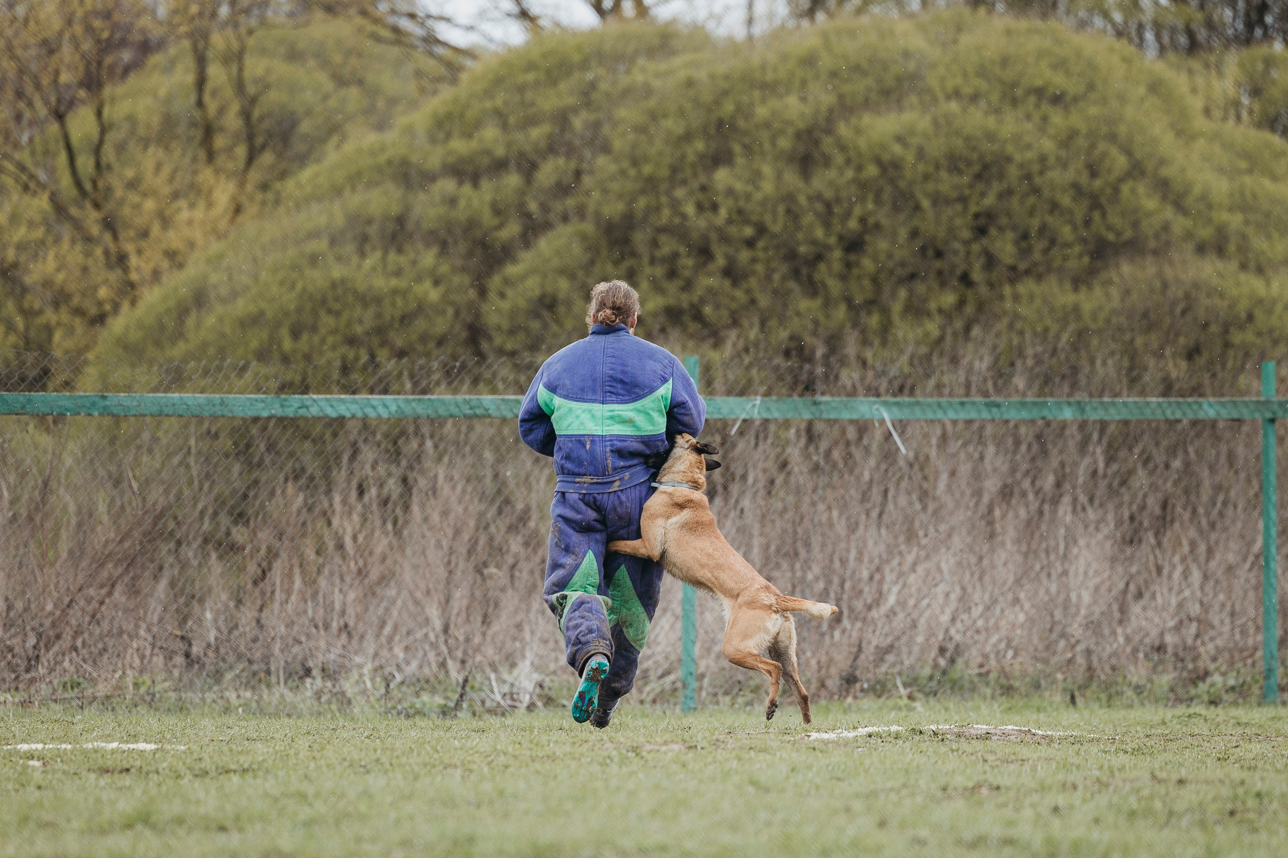 09.05.25 Вологда соревнования. Фотограф-анималист Анна Маринич