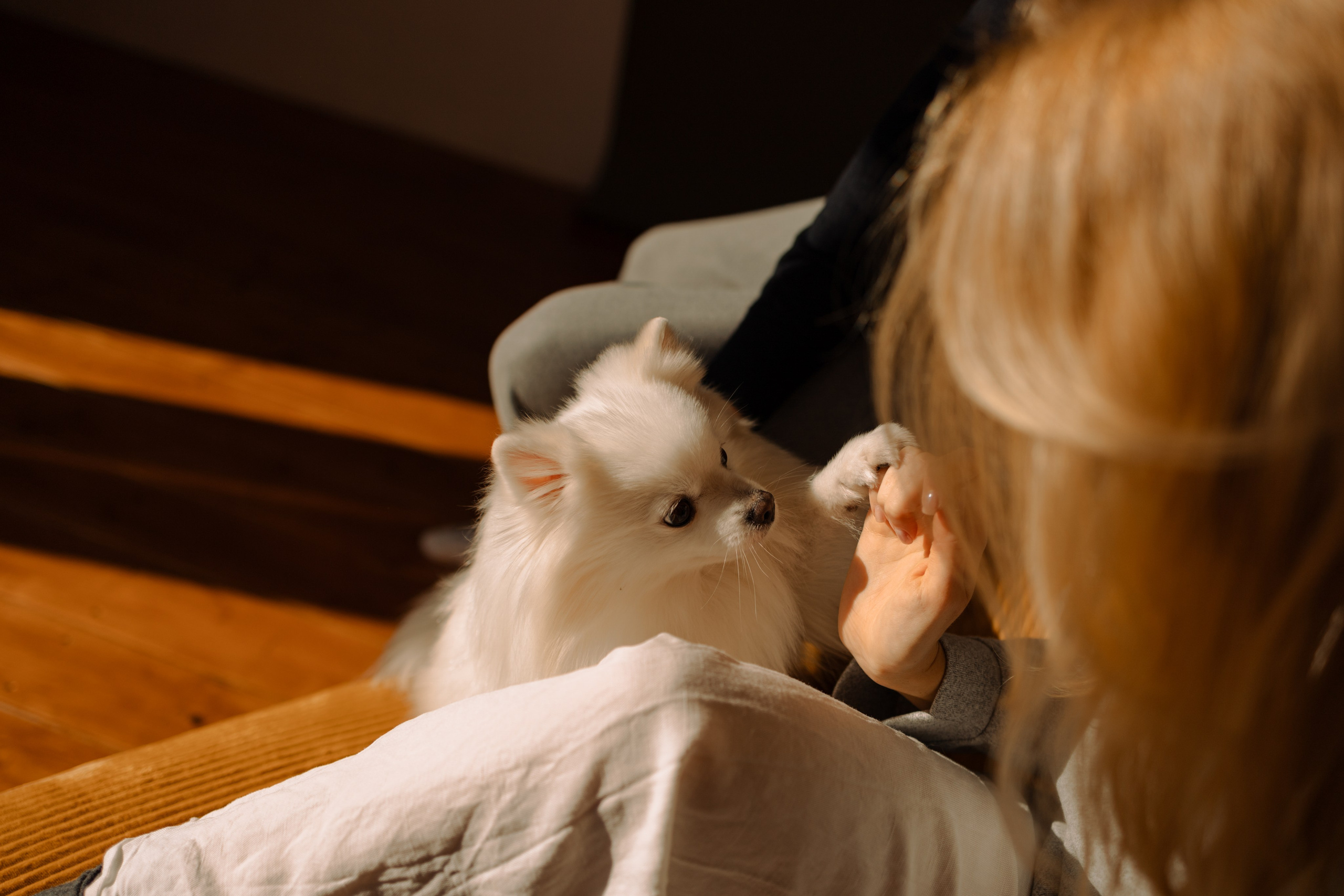 Джесси и ее семья. Фотограф — Анималист | Санкт-Петербург