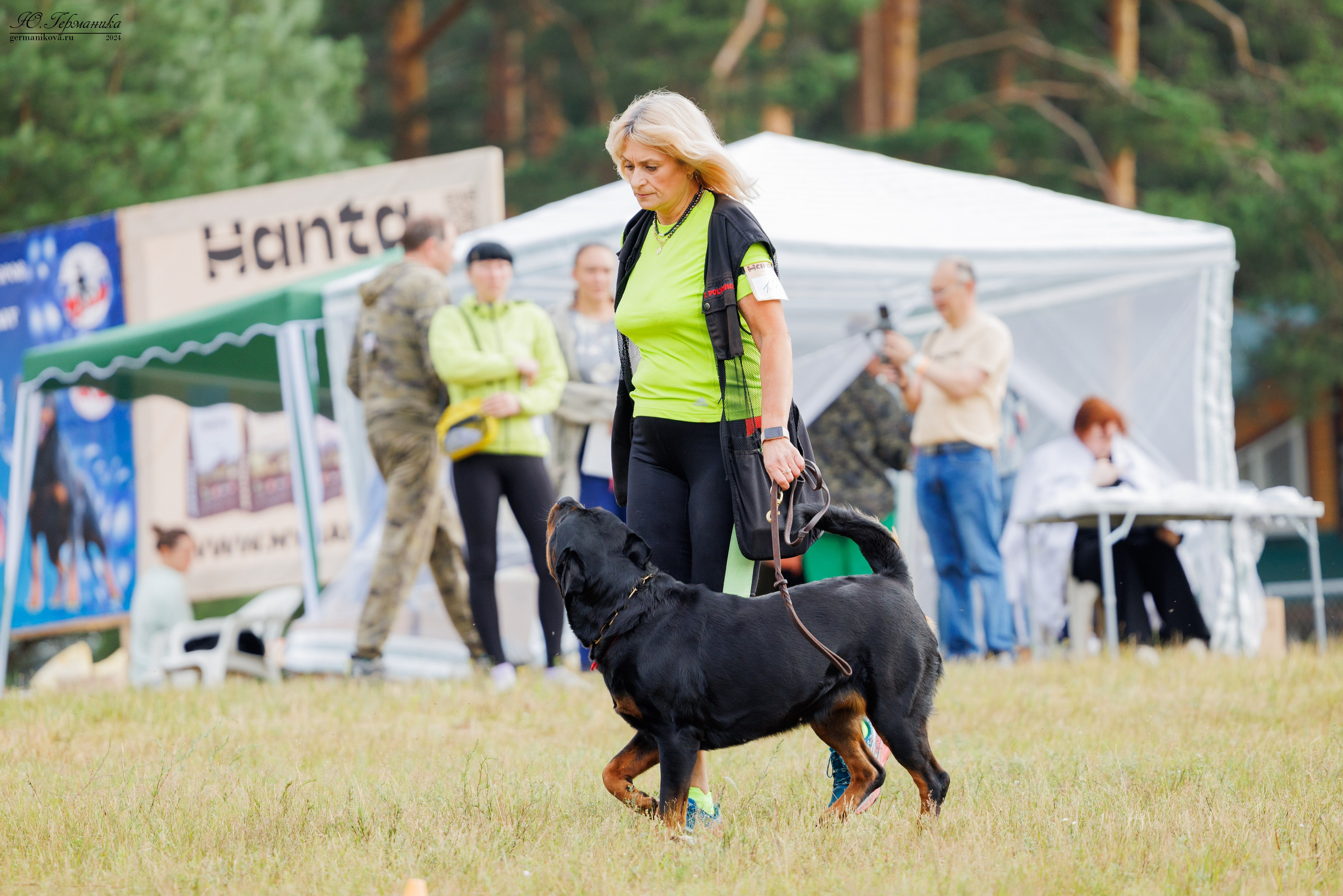 ПК и КЧК ротвейлеры Тверь 6-7.07.2024. Фотограф-анималист Юлия Германика