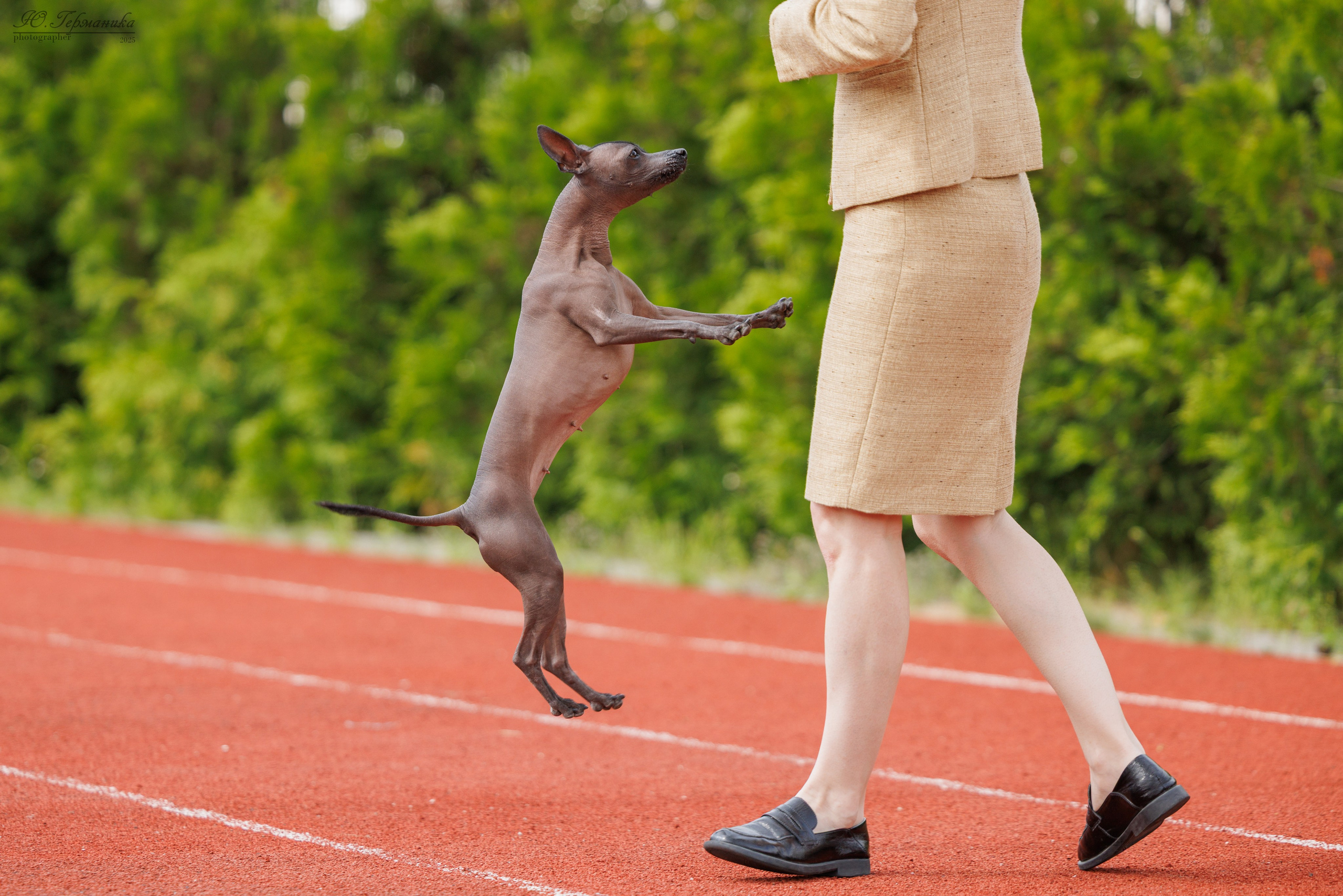 Калининград 25-27.07 Волгоград 1-3.08 2025. Фотограф-анималист Юлия Германика
