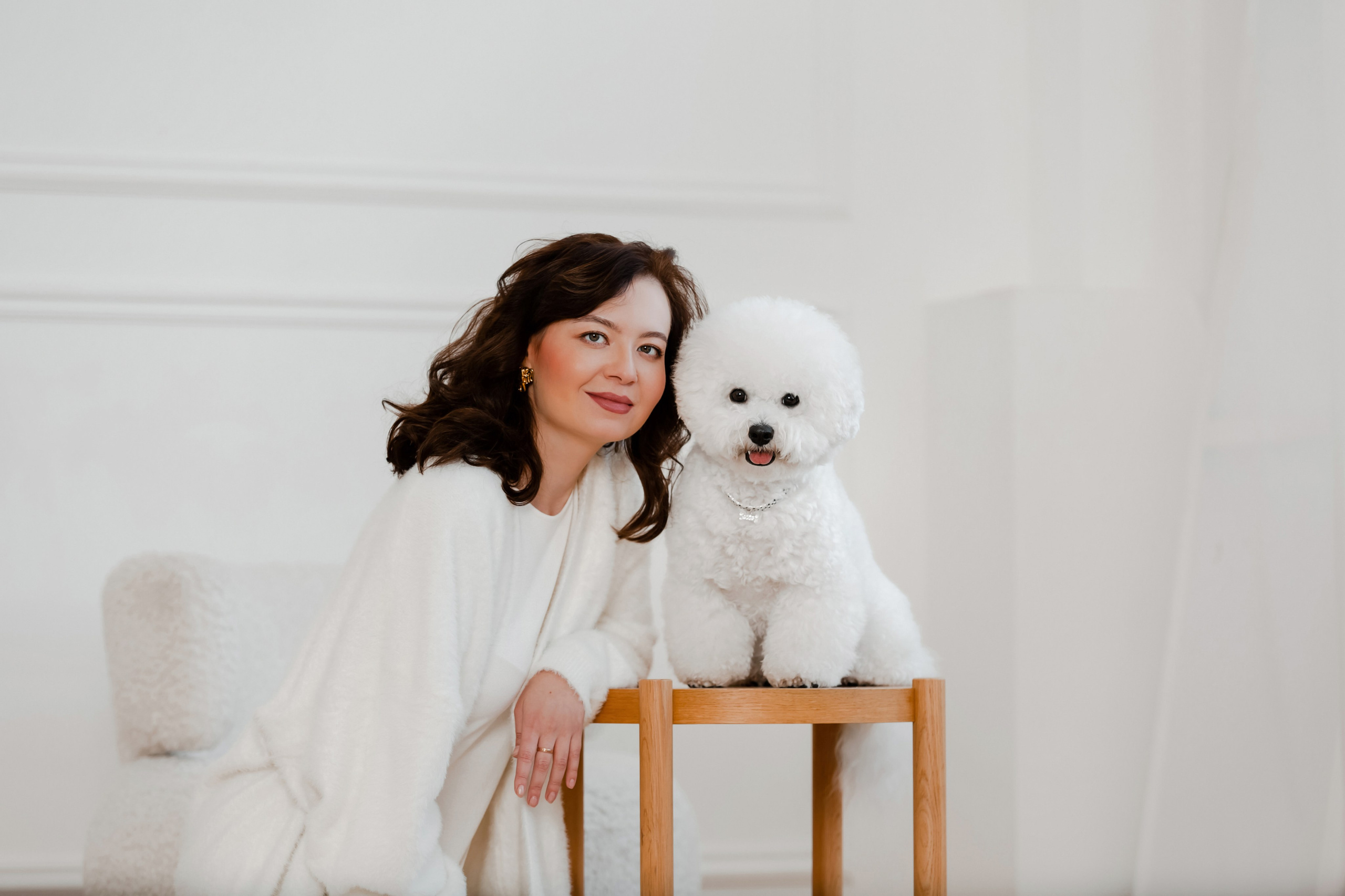 Бишон-фризе. Фотограф-анималист в Краснодаре Маша Мельникова