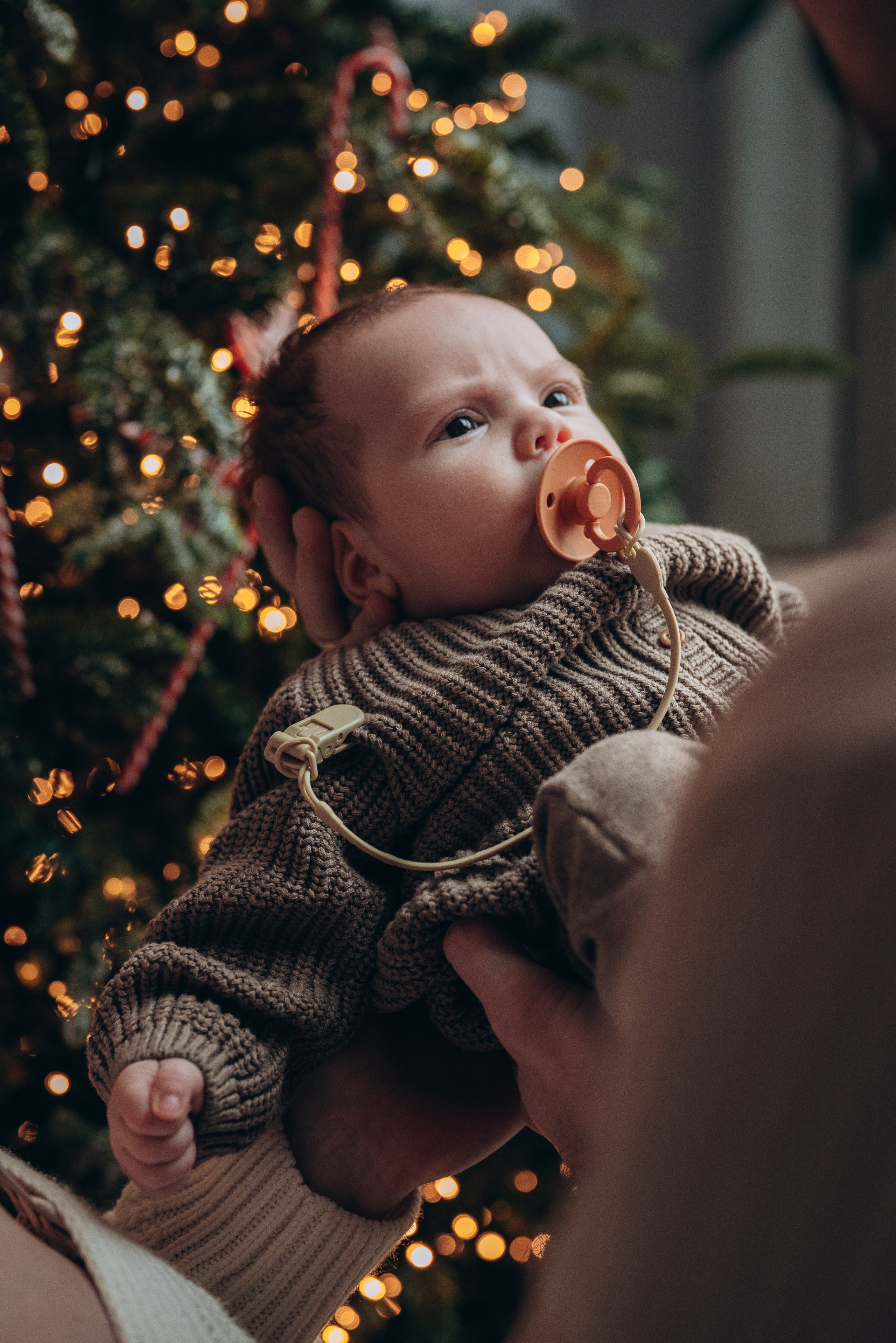 Арина, Мирон и Кирилл. Семейный фотограф в Москве Дарья Пузикова