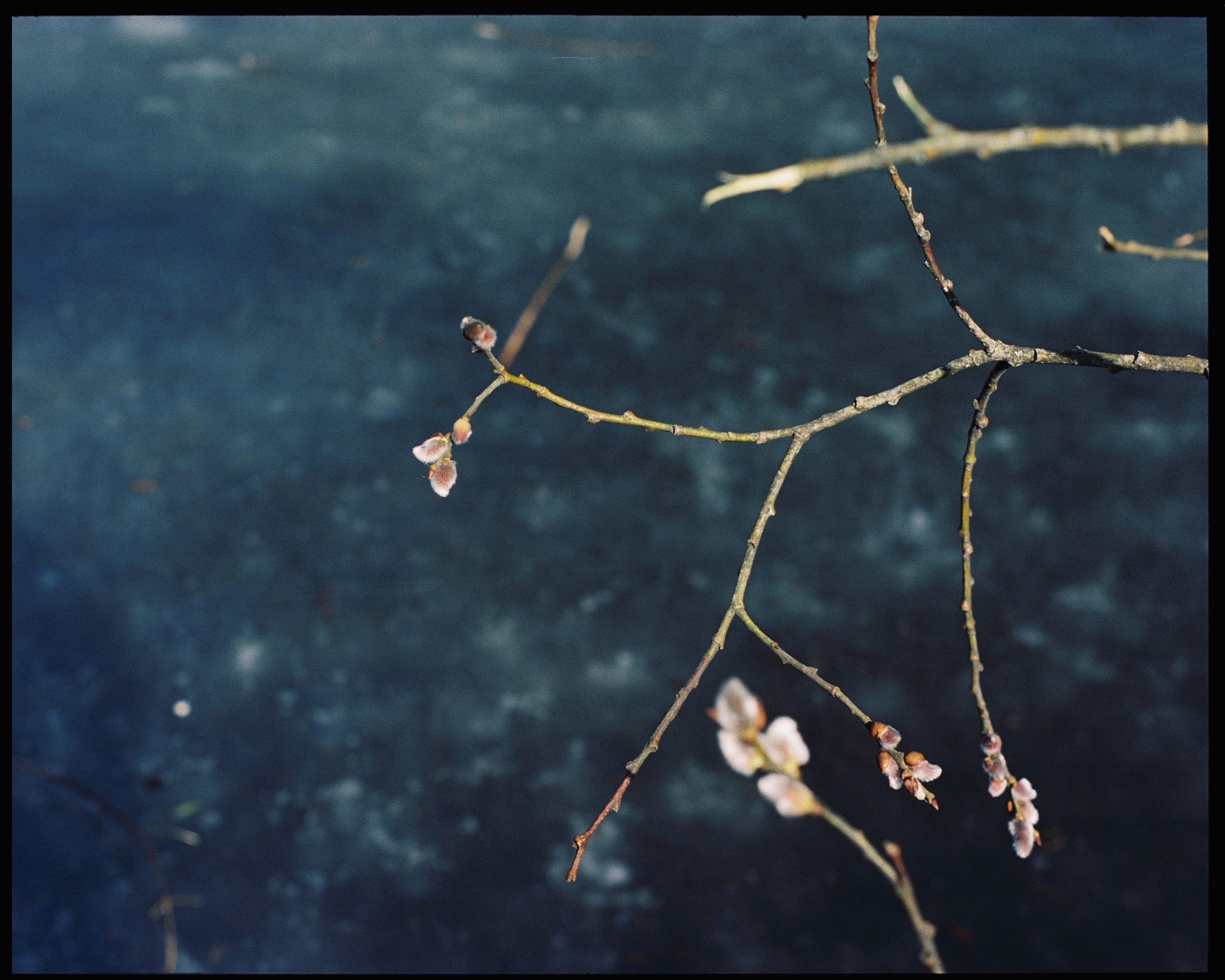 KALUGA. ANNA — PHOTOGRAPHER