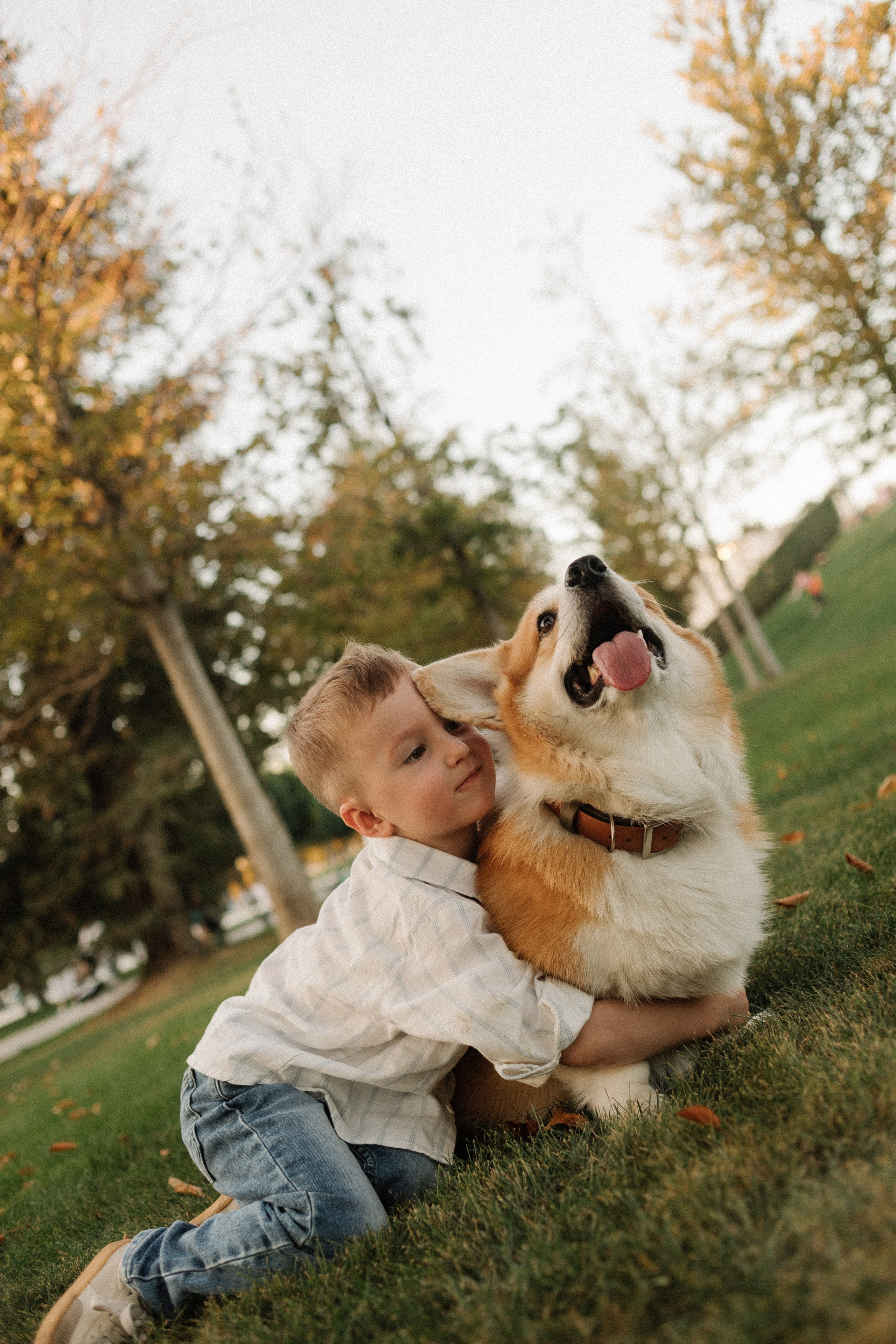 Фокс и его команда. Семейный фотограф в Краснодаре Яна Морева