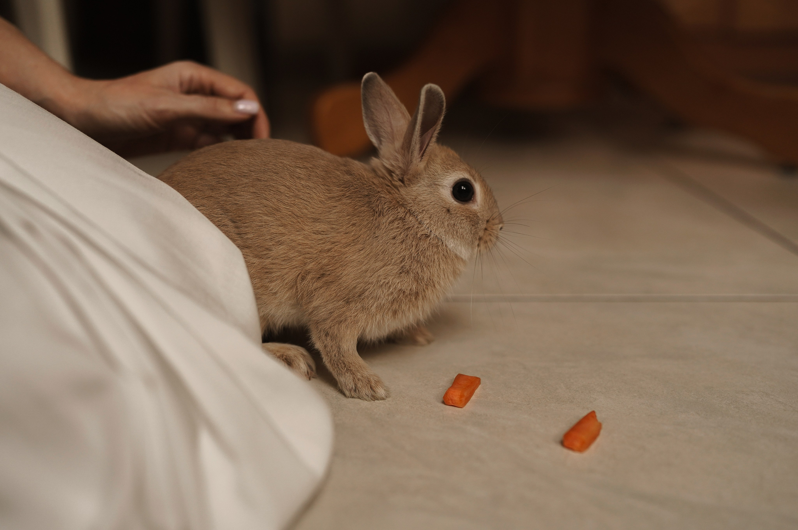 «Накануне Светлой Пасхи». Фотограф материнства Лена Олюнина Фотограф Калининград