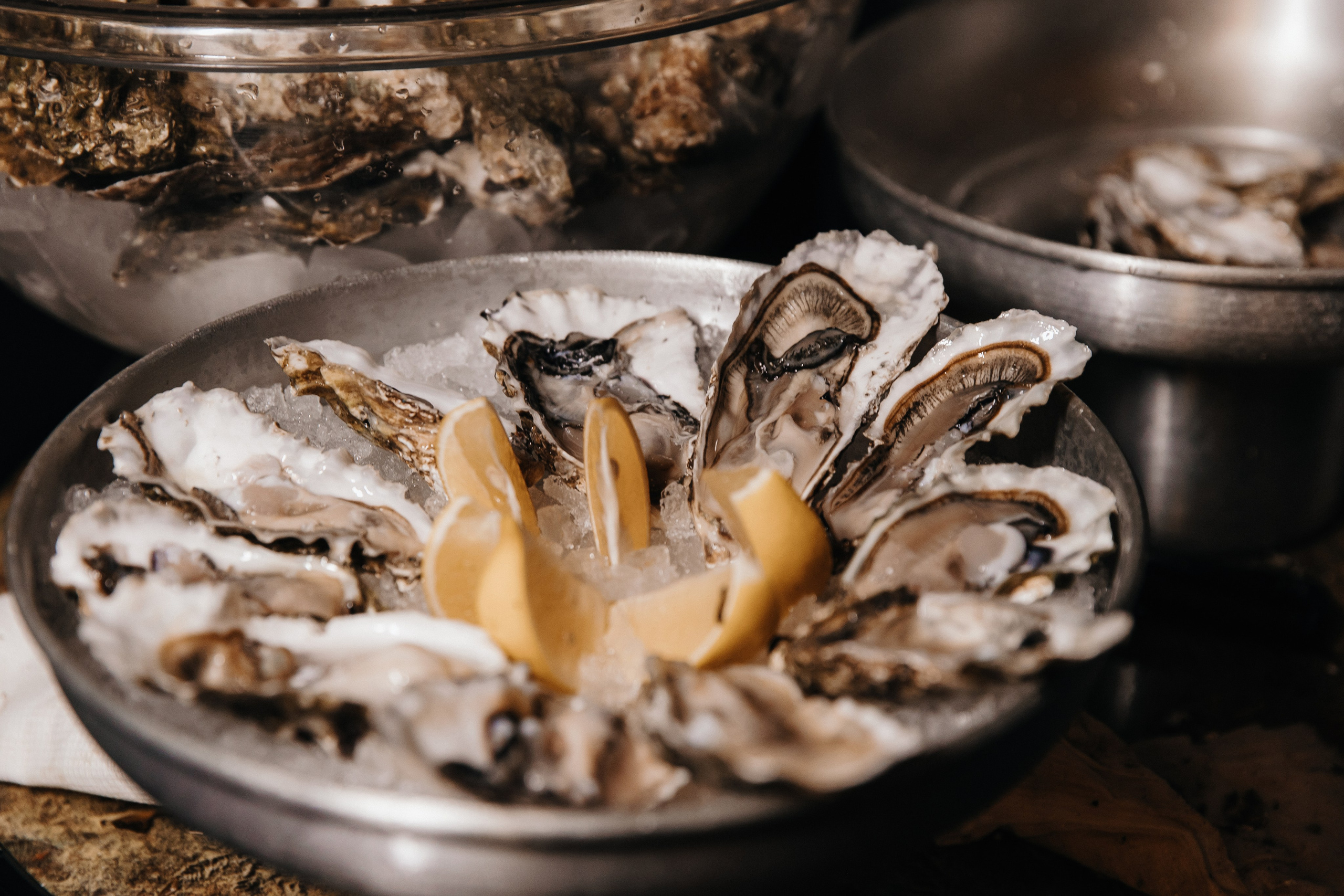 Саша и Миша. Свадебный фотограф и видеограф Когай Дмитрий и Юлия