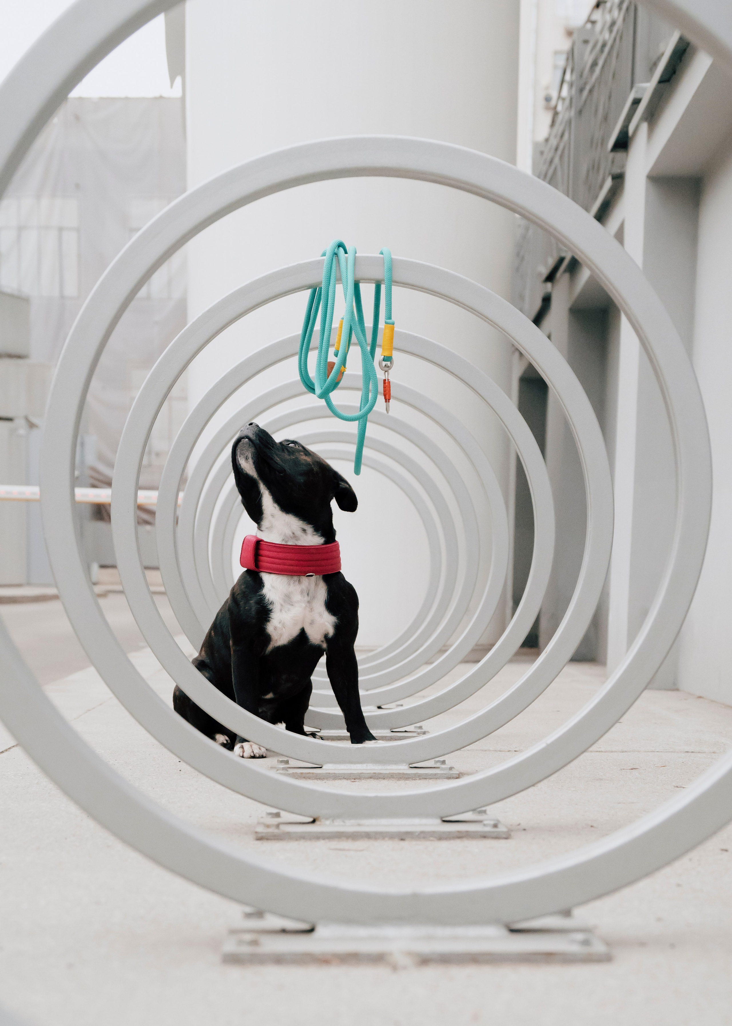 Держись меня. Фотограф- анималист Александра Матвеева