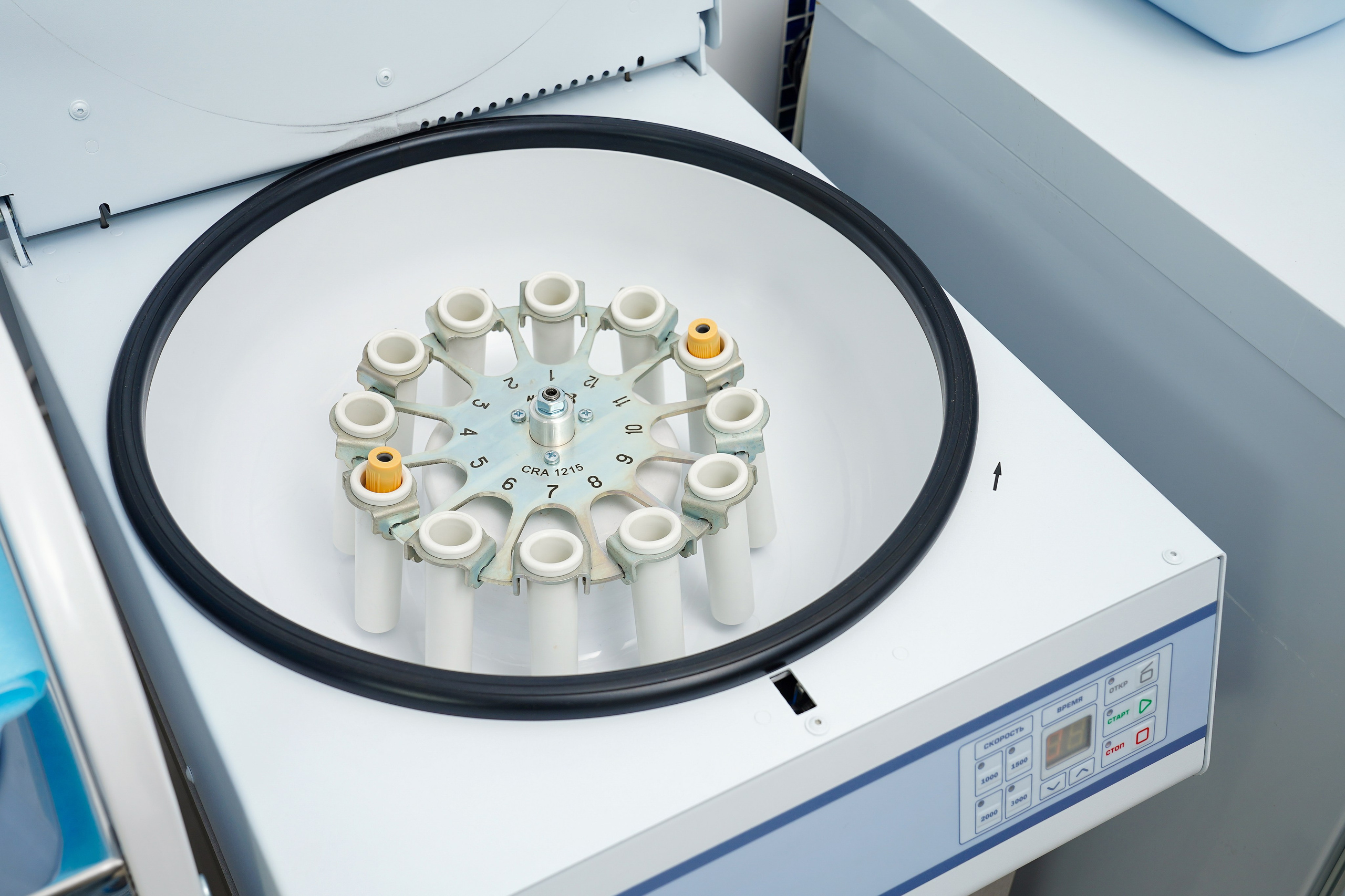 Oxy. Контентный и свадебный фотограф в Краснодаре и Сочи Елена Плотникова