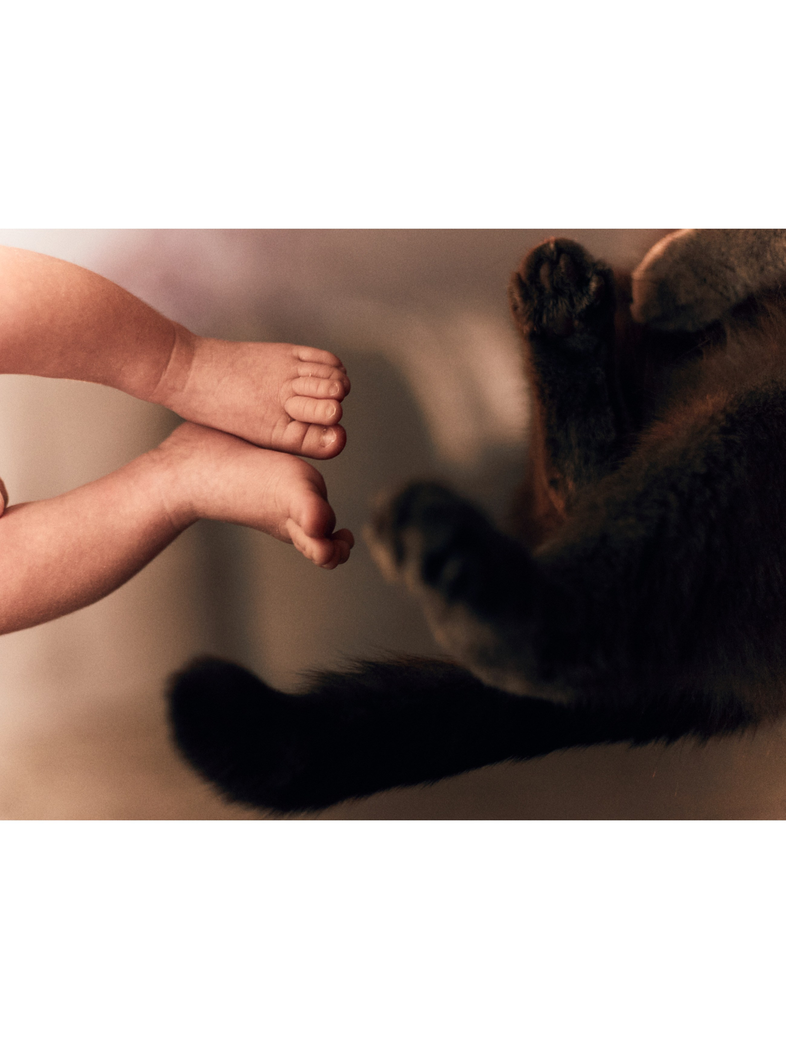 Кристина, Деним и малыш Леон. Фотограф и видеограф в Бугульме Аня Трутнева