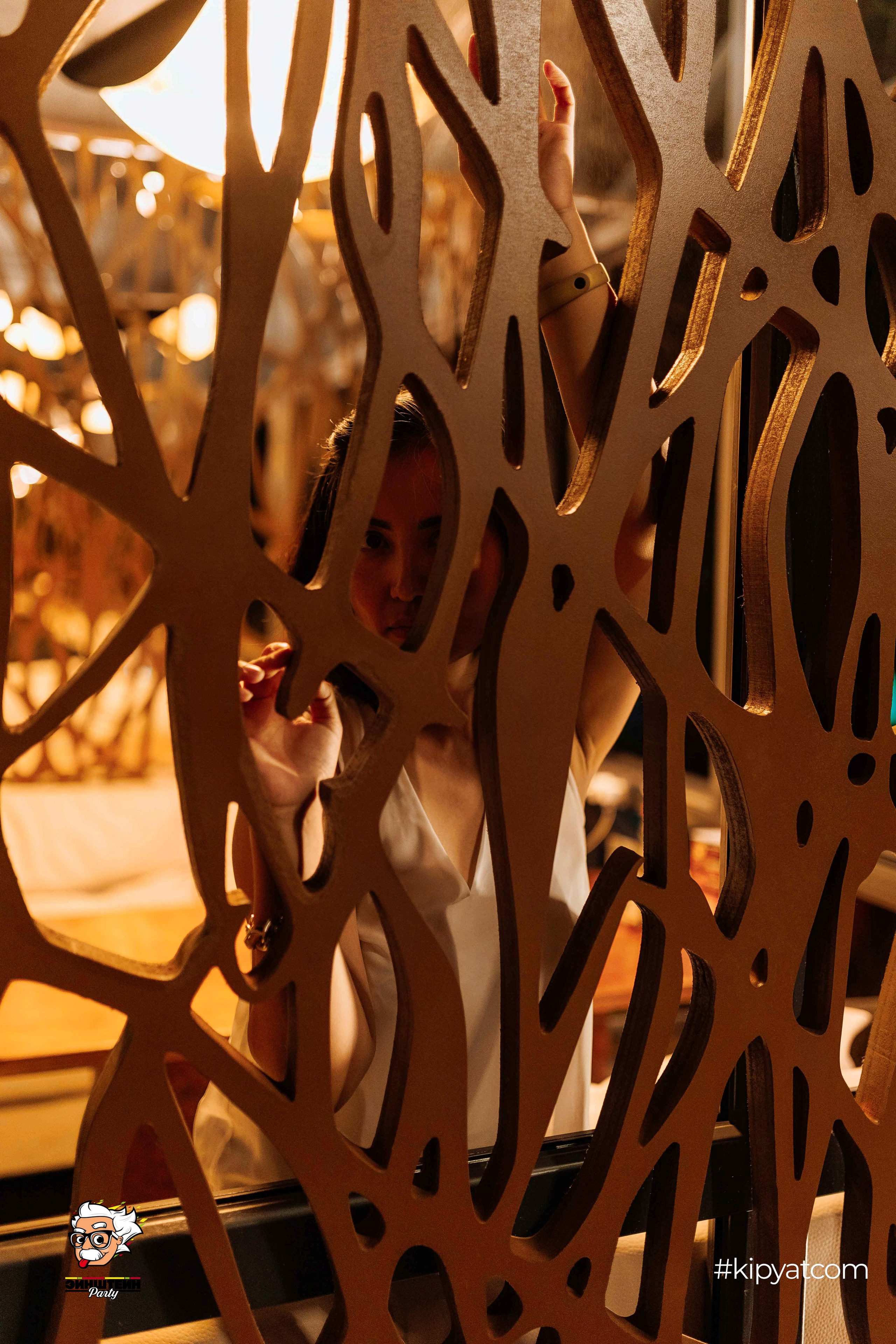 Эйнштейн Party