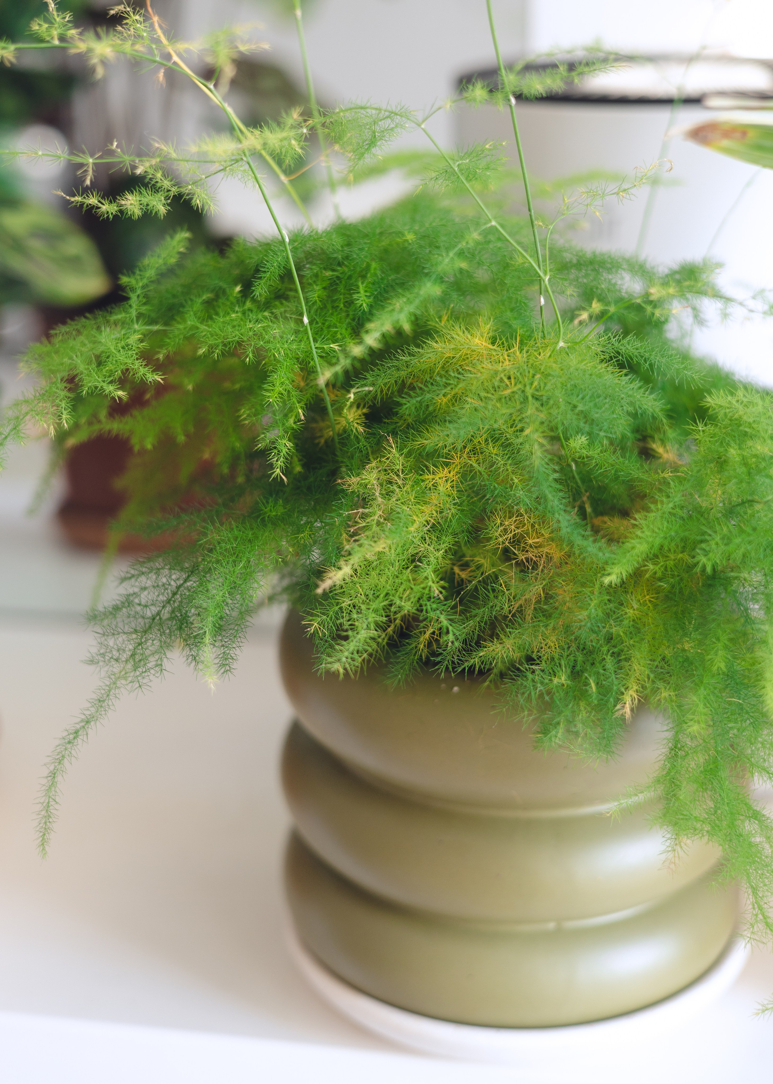 Предметная съемка для бизнеса. Фотограф в Санкт-Петербурге Осокина Елизавета