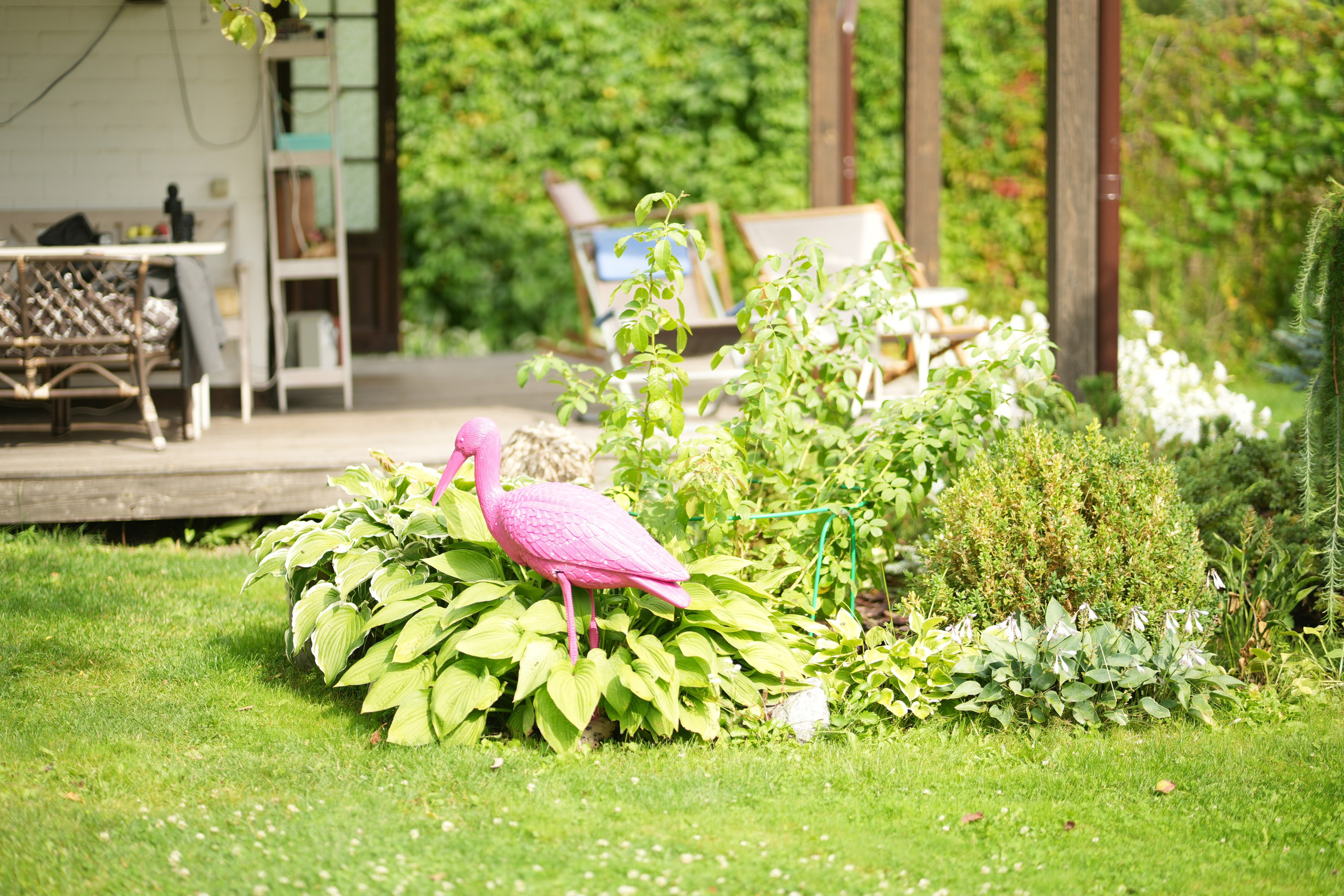 Час 1500 пример фотосессии пакет «ФОТО НА ПАМЯТЬ» (без обработки). Фотограф Нижний Новгород Татьяна Кэйод