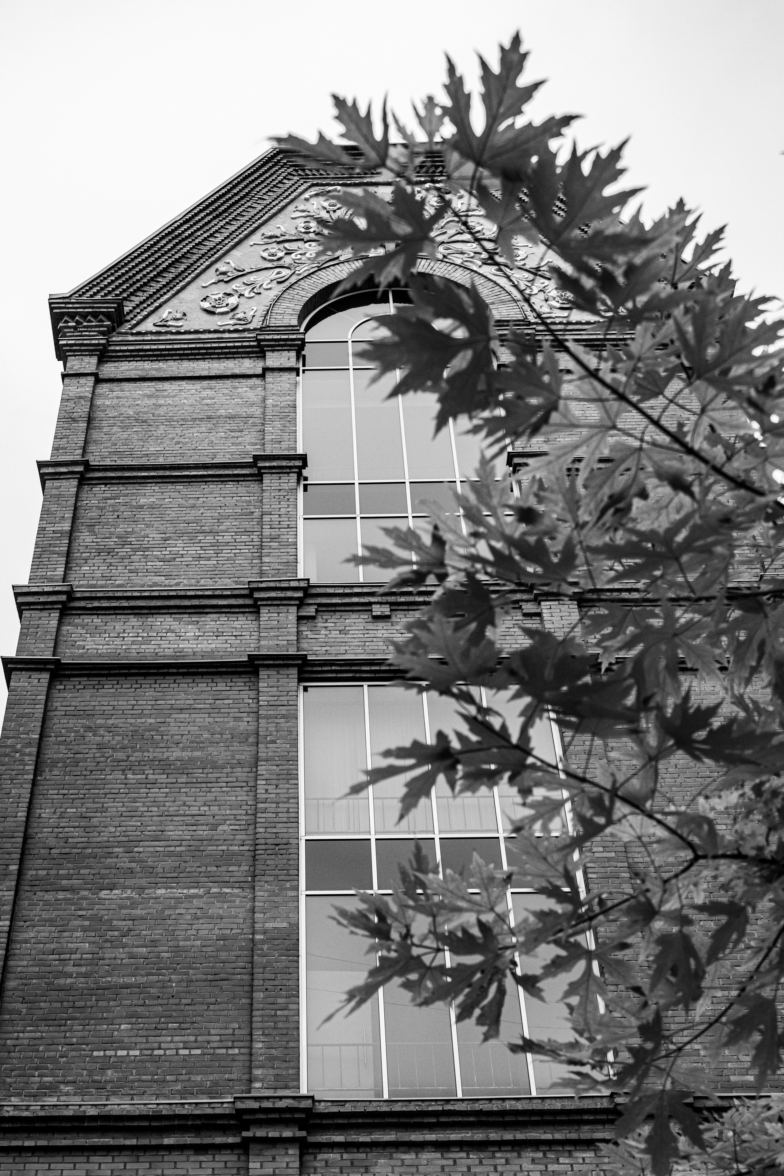 Доходный дом В.И Фирсановой. Сандуновский переулок. 14.11.2025. Фотографирую жизнь! Московский фотограф волонтер