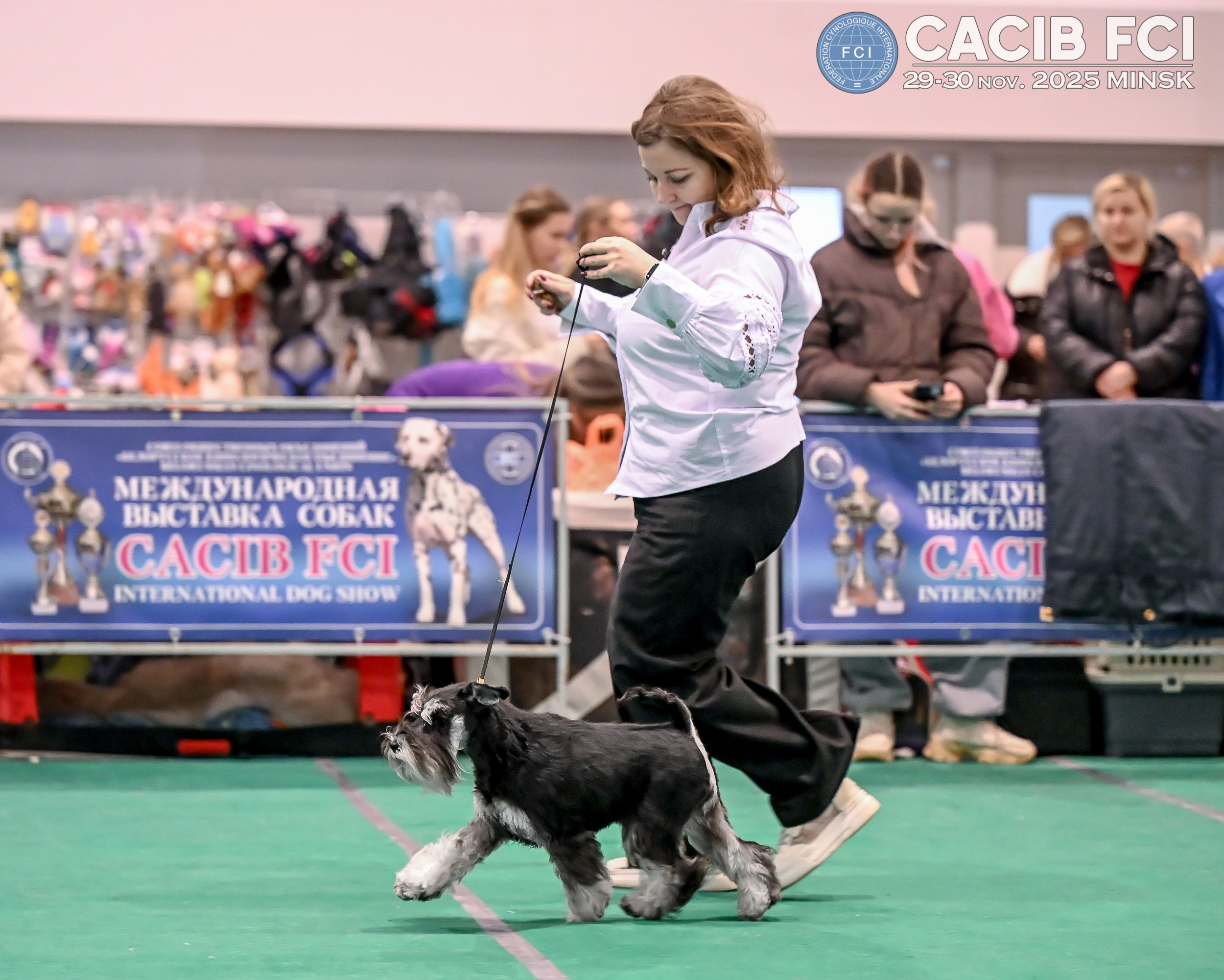 DELINSO BALANCE CZESARIA ZARI (Li Mu Zi Chinese Dragon x Delinso Balance Emiko Akemi) 