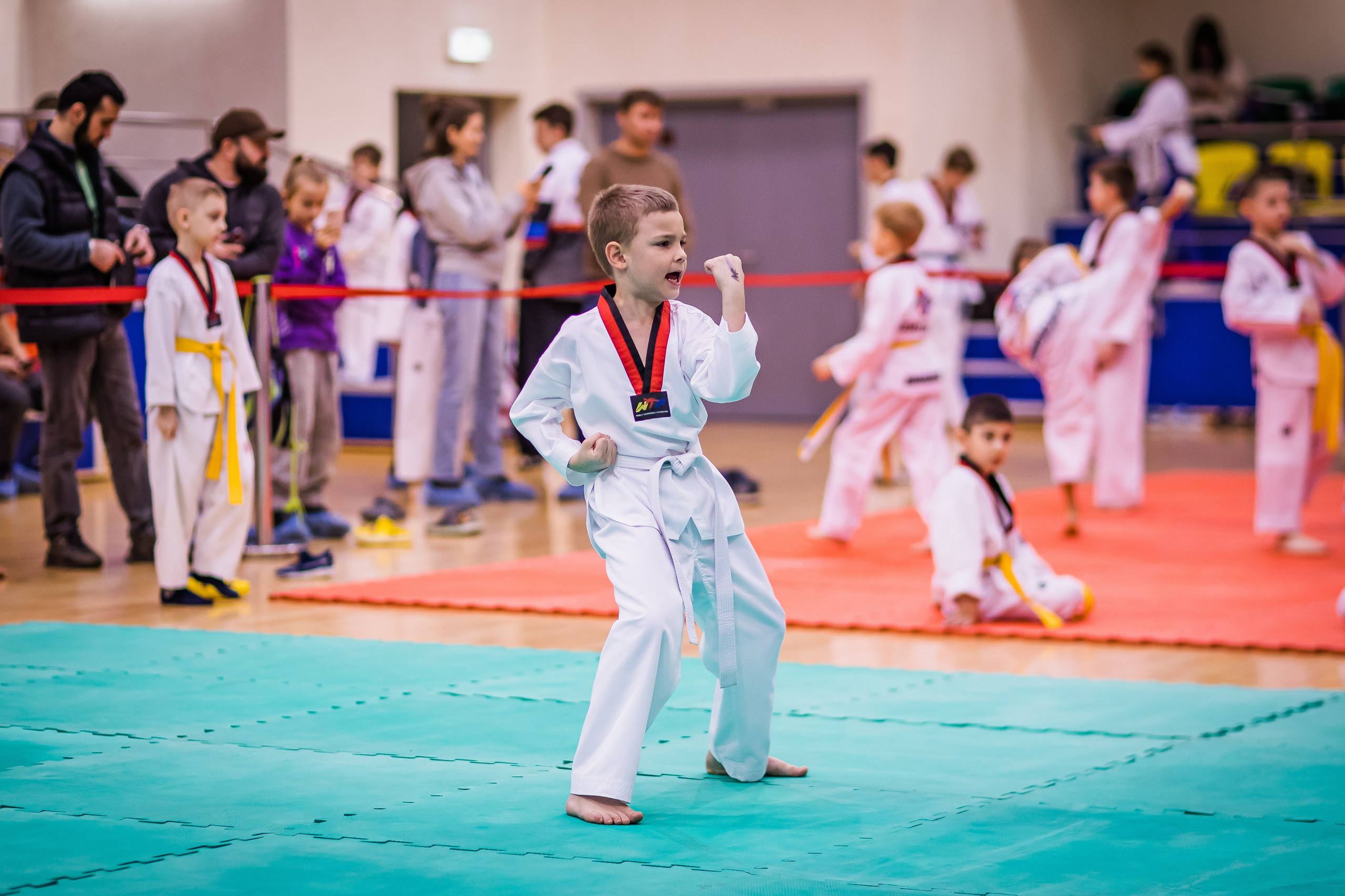 Турнир Федерации детского тхэквондо России по дисциплине ПХУМСЭ. Спортивный фотограф Максим Серегин