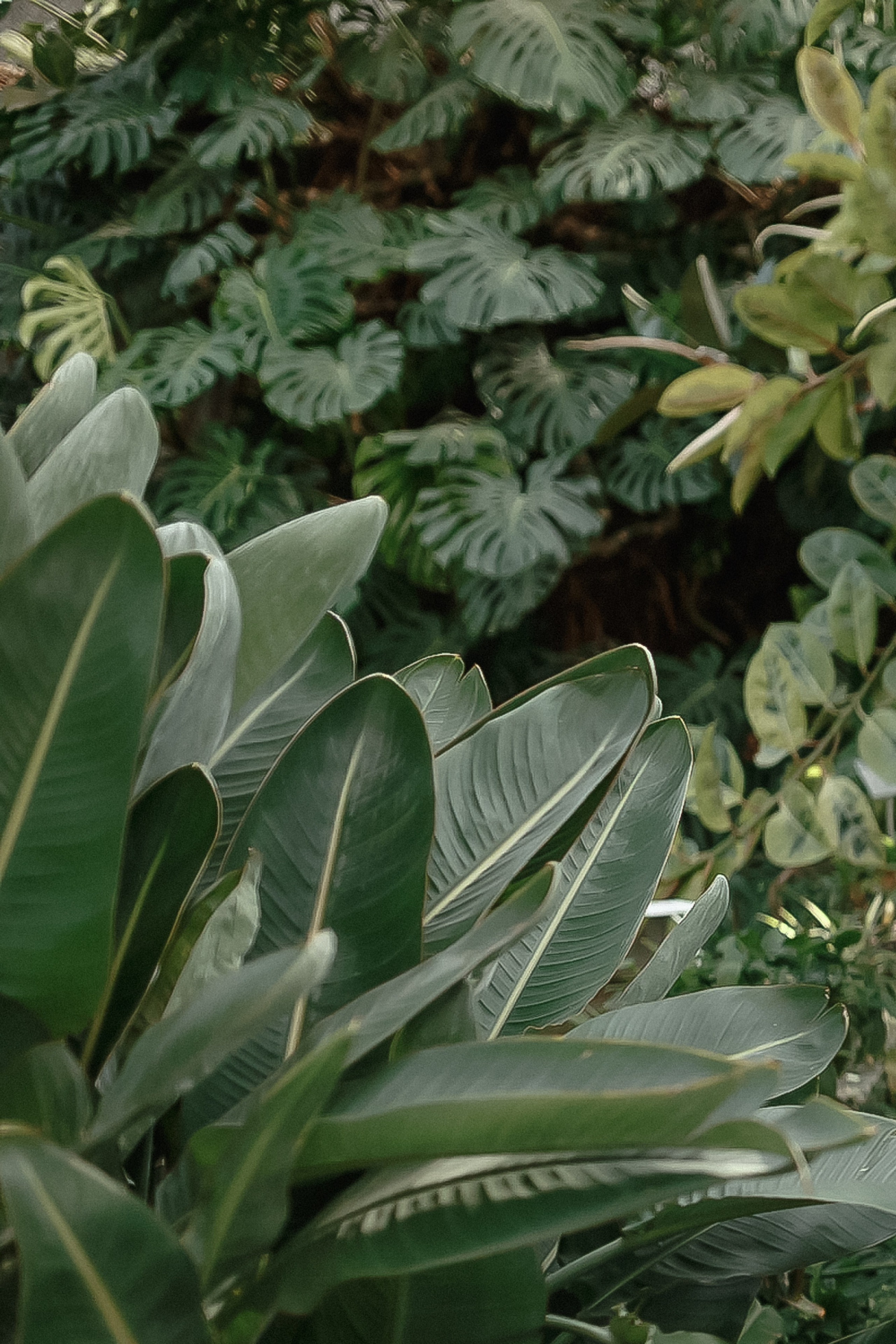 Wedding day Гриша & Мария. Свадебный фотограф Колесников Антон