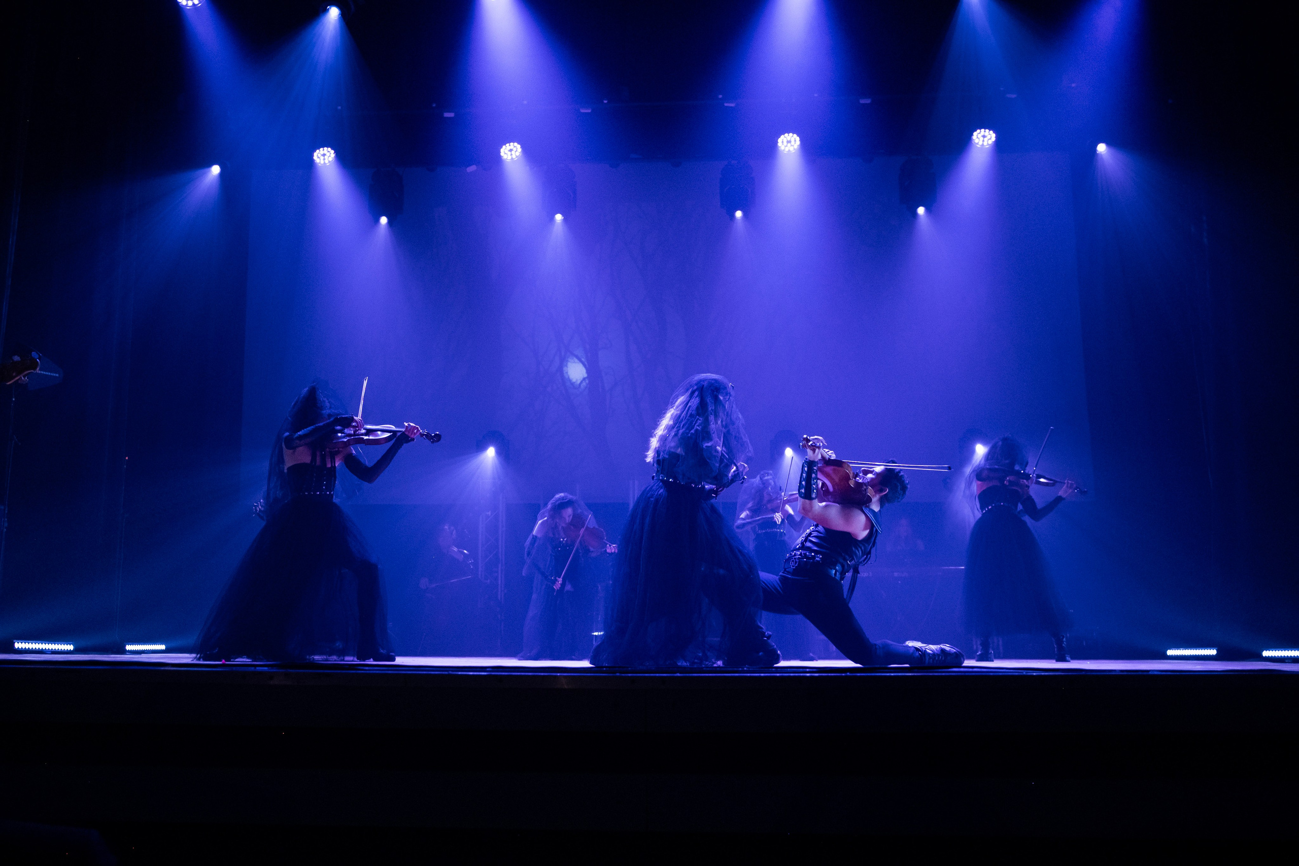 Концерт Concord Orhestra. Главная