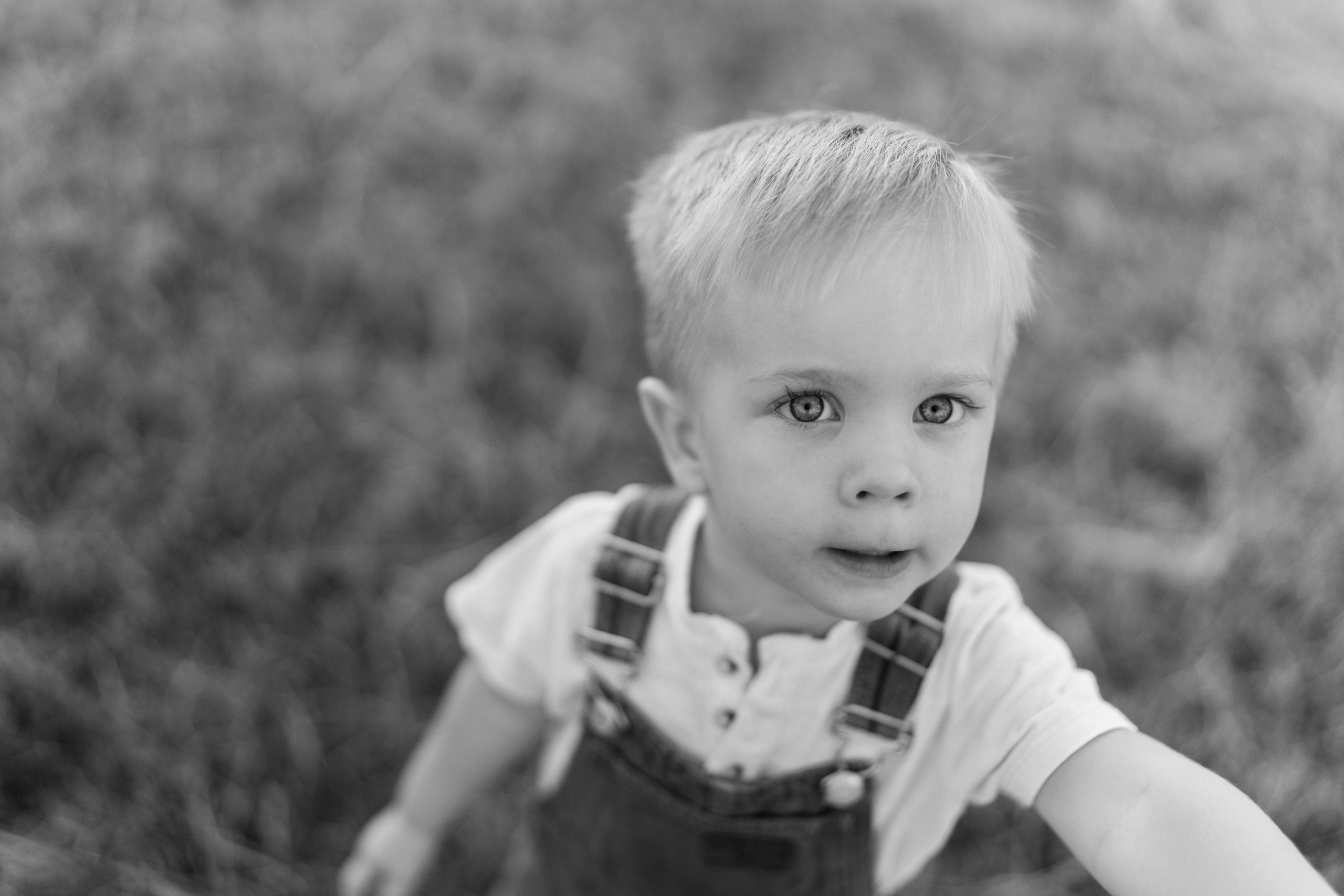 Рома, Даша, Паша. Свадебный и семейный фотограф в Москве и Красногорске — живые кадры | Анастасия Тихонова