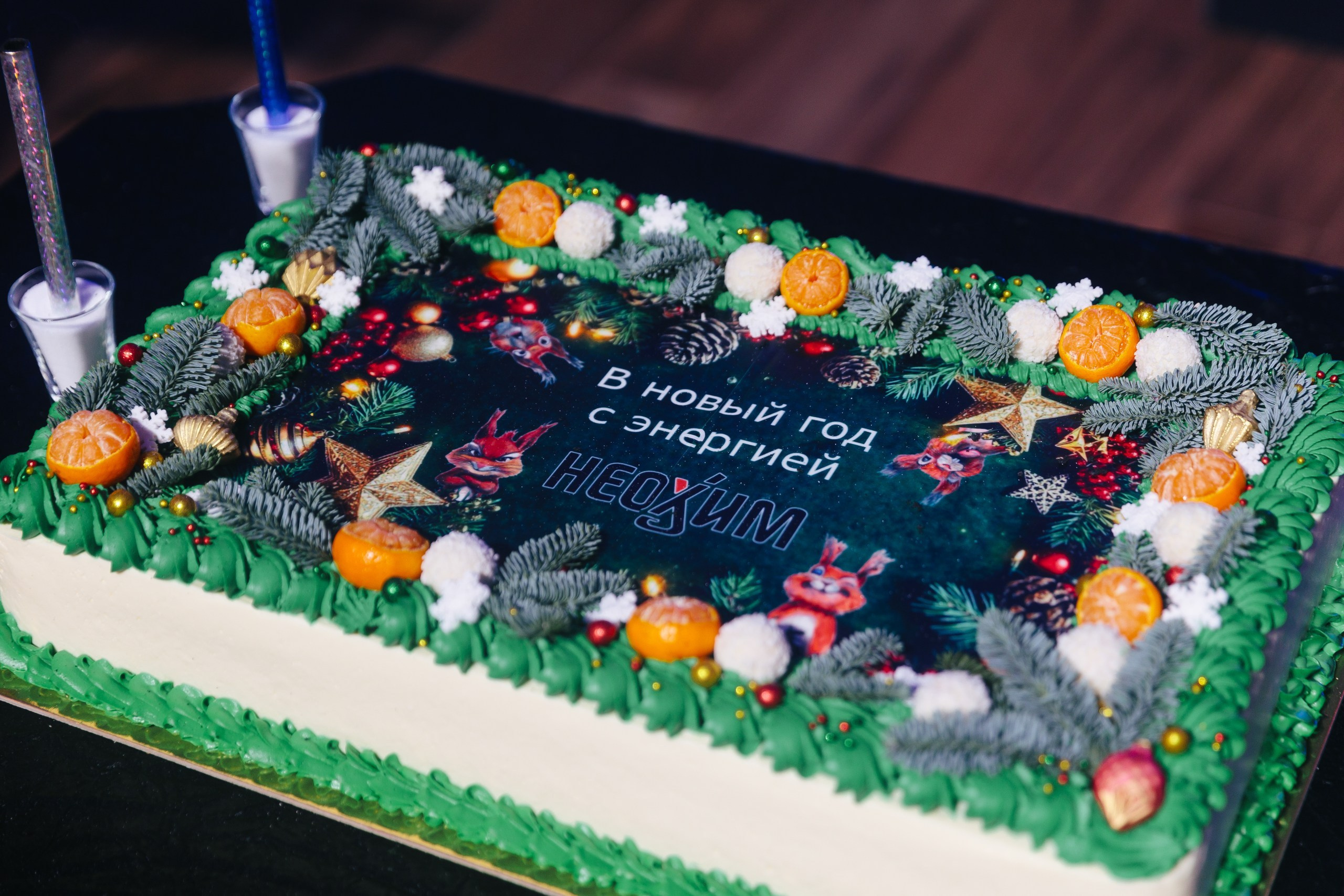 Компания «НЕОХИМ» Новый Год без границ. Портфолио свадебного фотографа. Роман Каргаполов