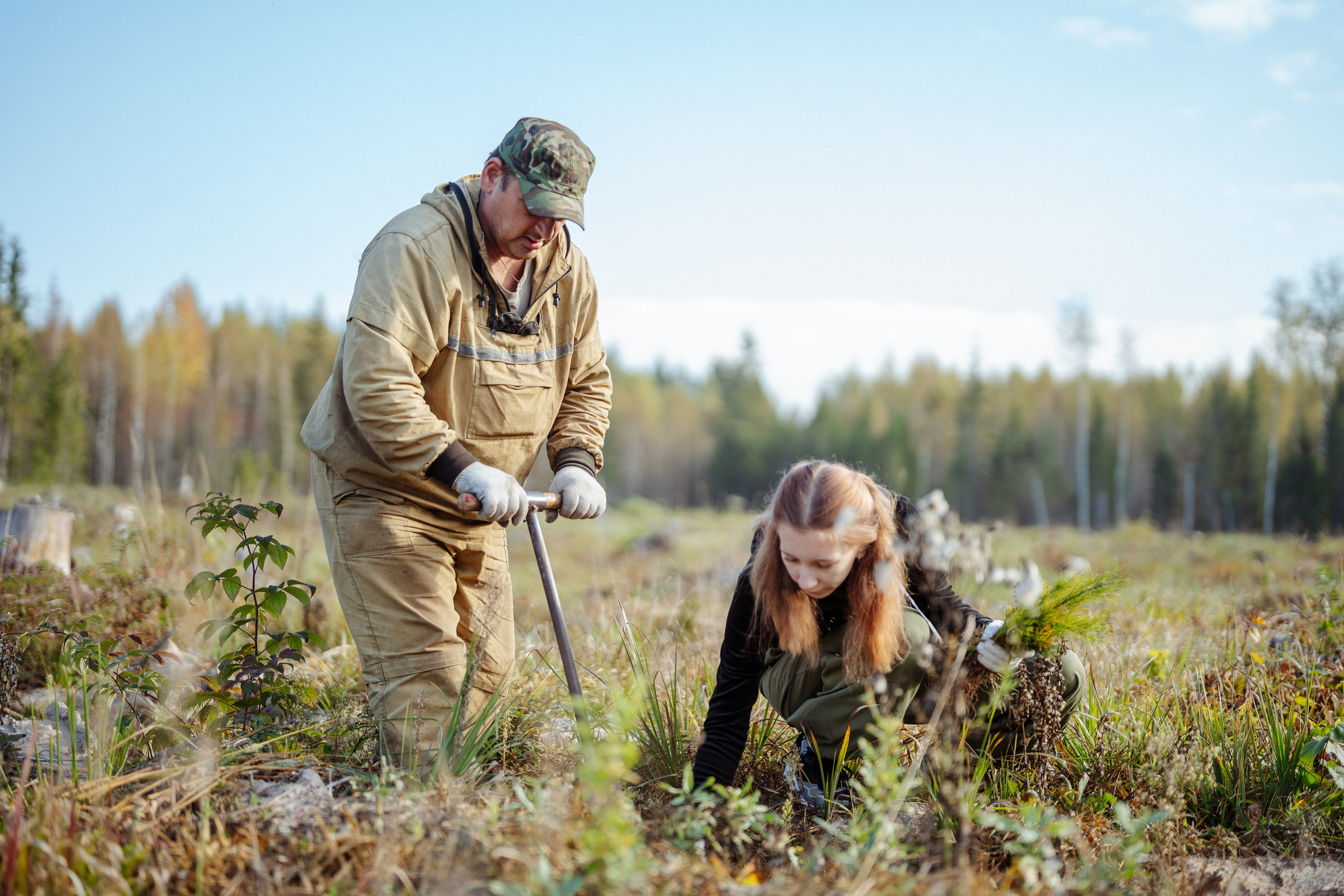 СБЕР · ЭКА · Посадка сеянцев. Владимир Вершинин, тот самый свадебный видеограф
