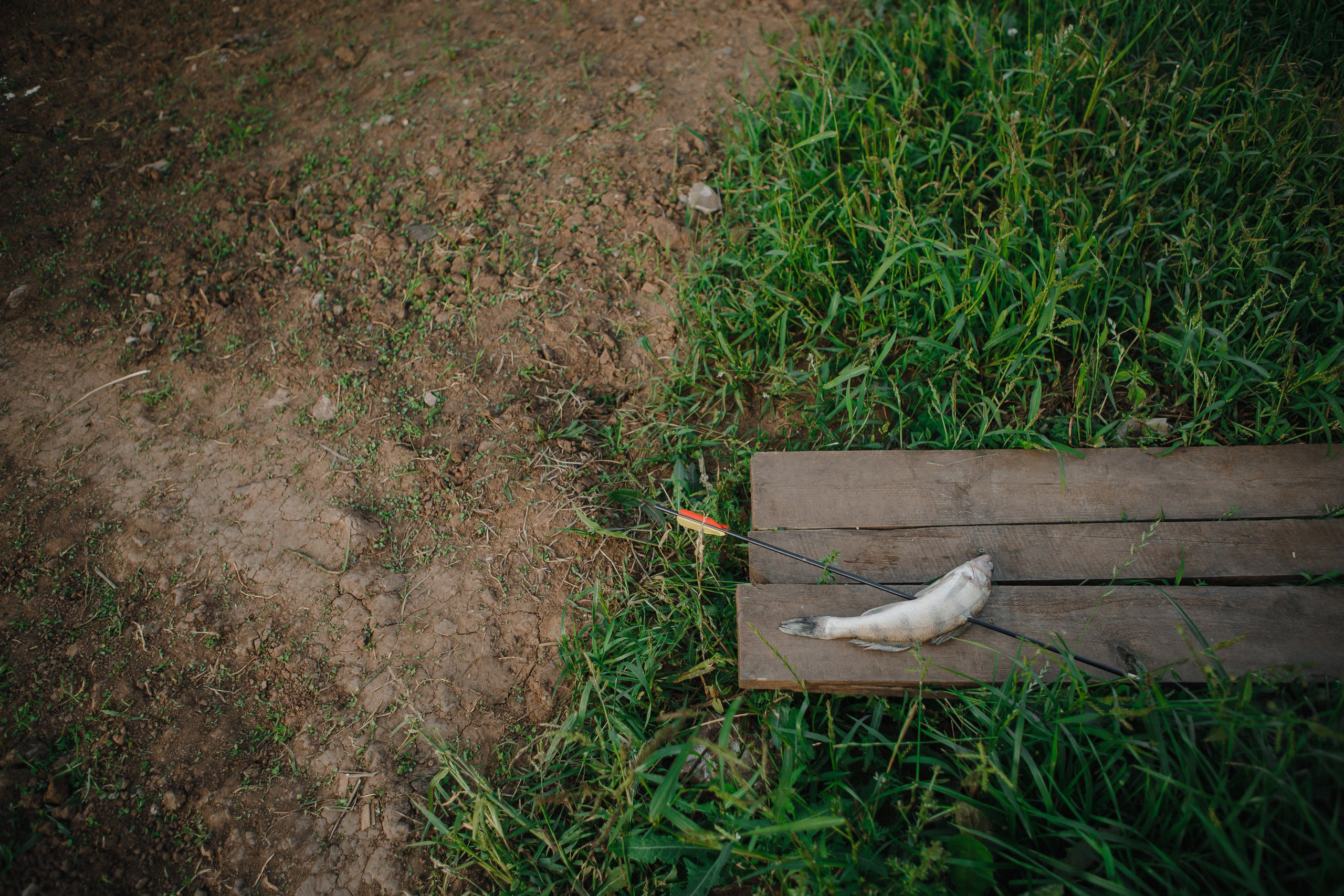 Мазальтов. Свадебный и семейный фотограф Ижевск