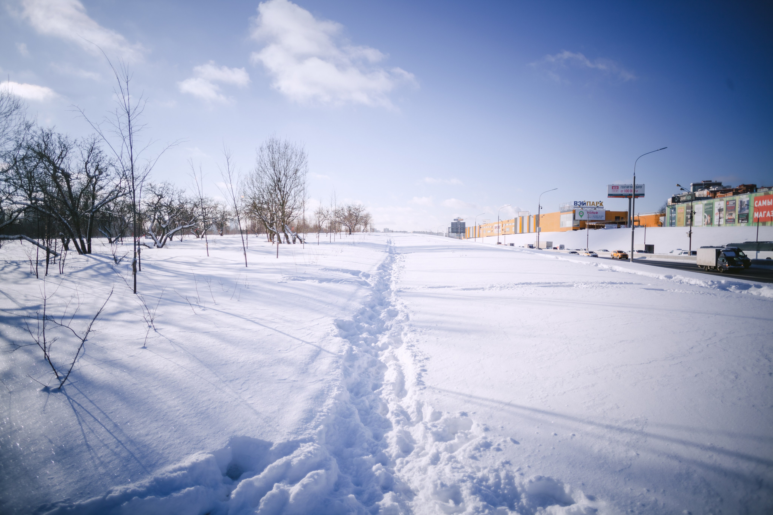 Зимняя экспресс съемка Дюка. Фотограф-анималист Татьяна Степанова