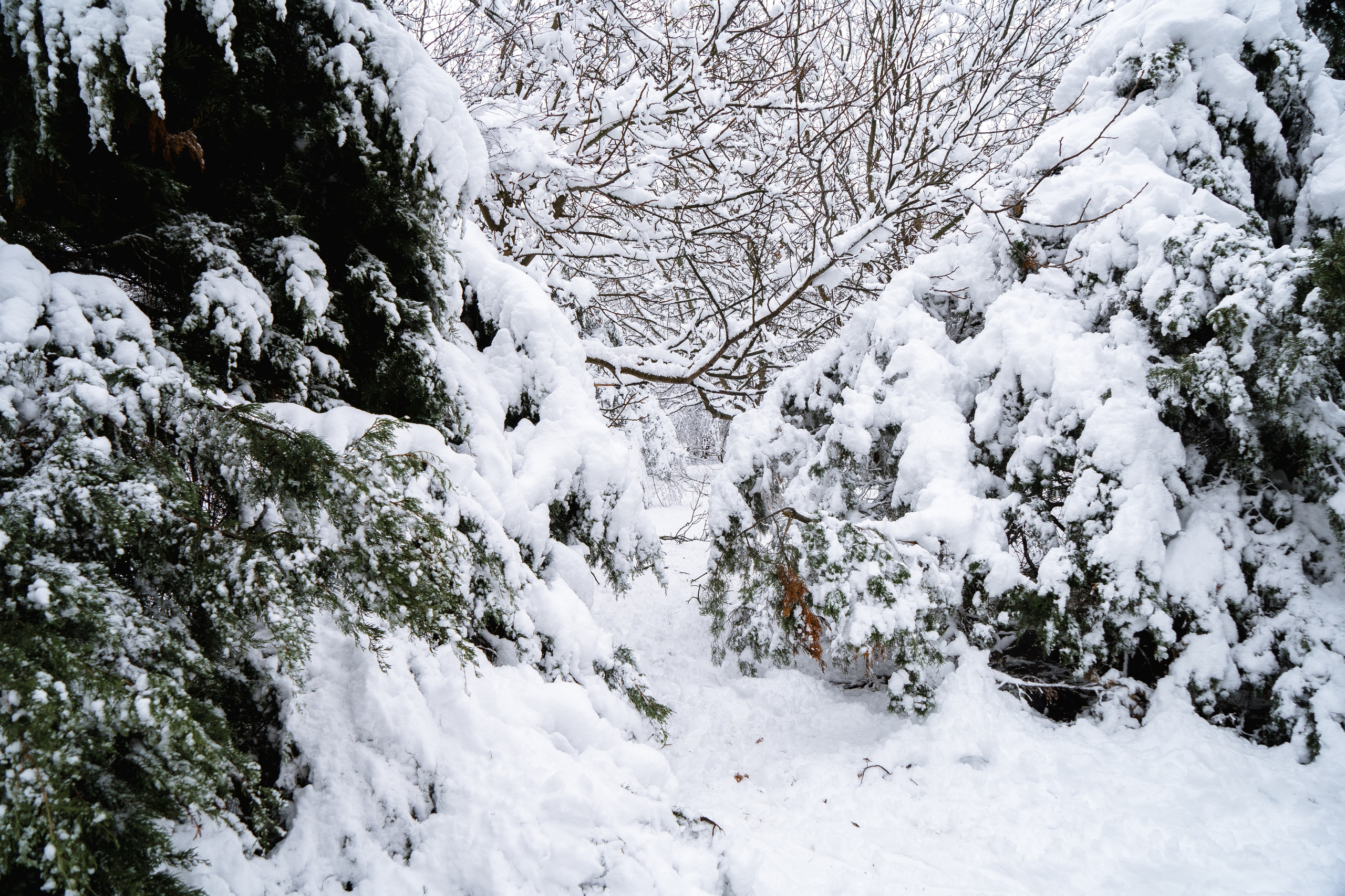 Зима 2024. Свадебный и семейный фотограф/видеограф в Краснодаре Наталья Осинская