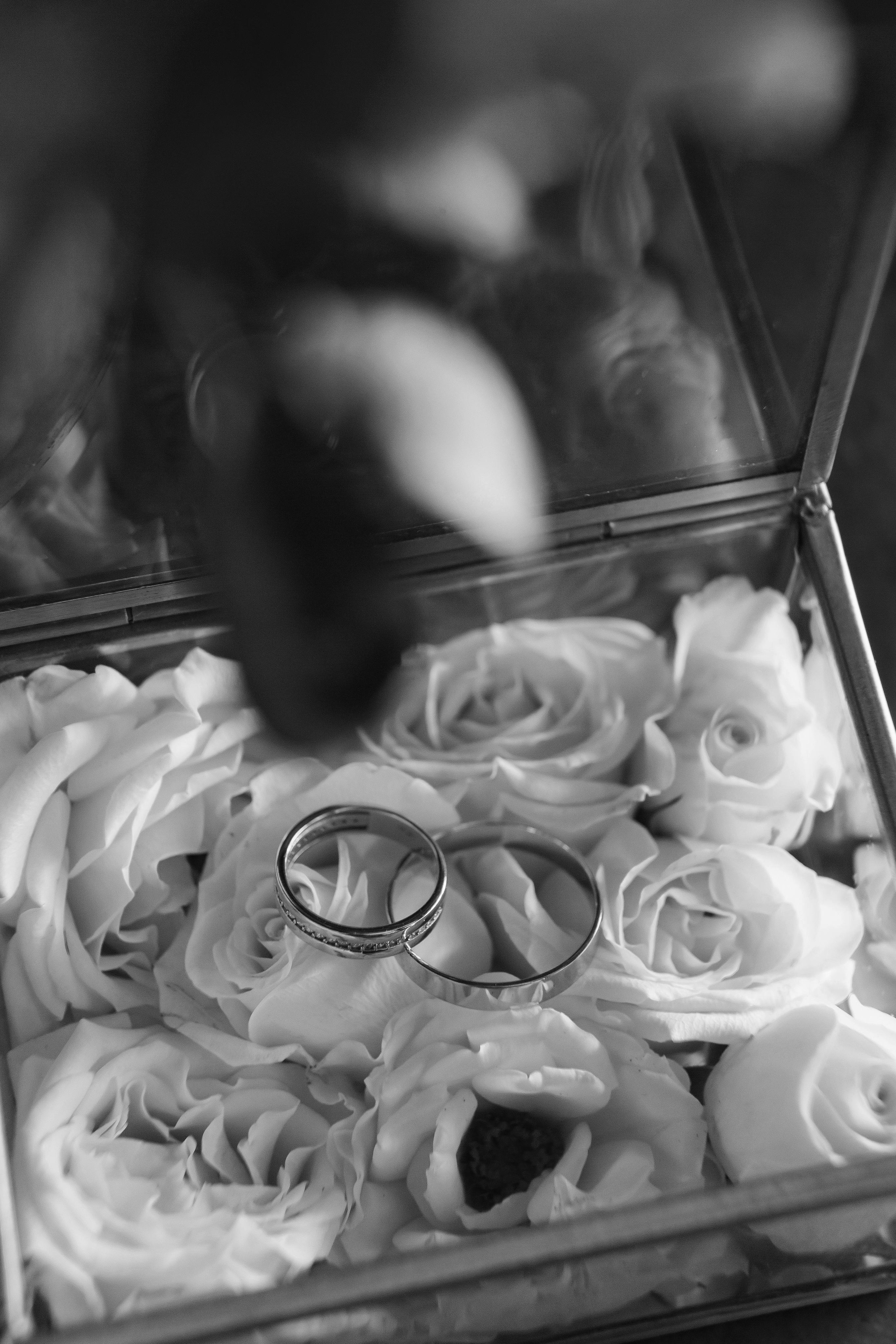 «Этот город — наша история». Фотограф в Санкт-Петербурге Алексей Глазанов