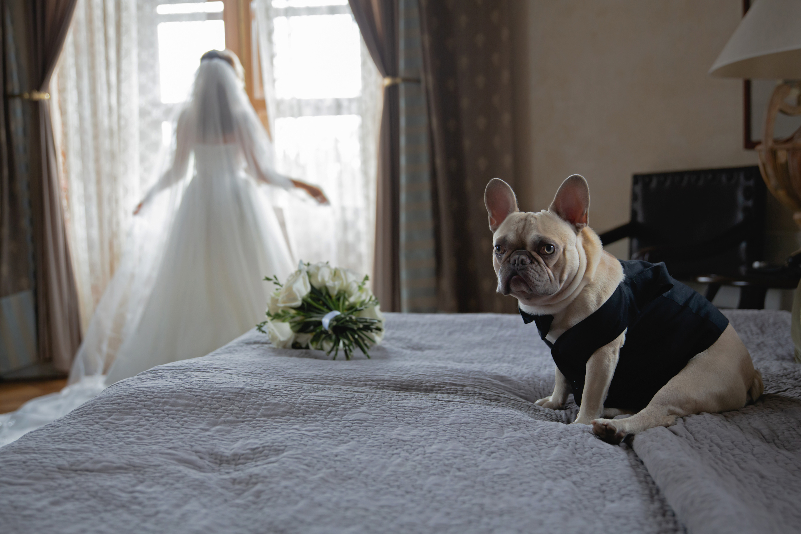 «La castle BIP». Фотограф в Санкт-Петербурге Алексей Глазанов