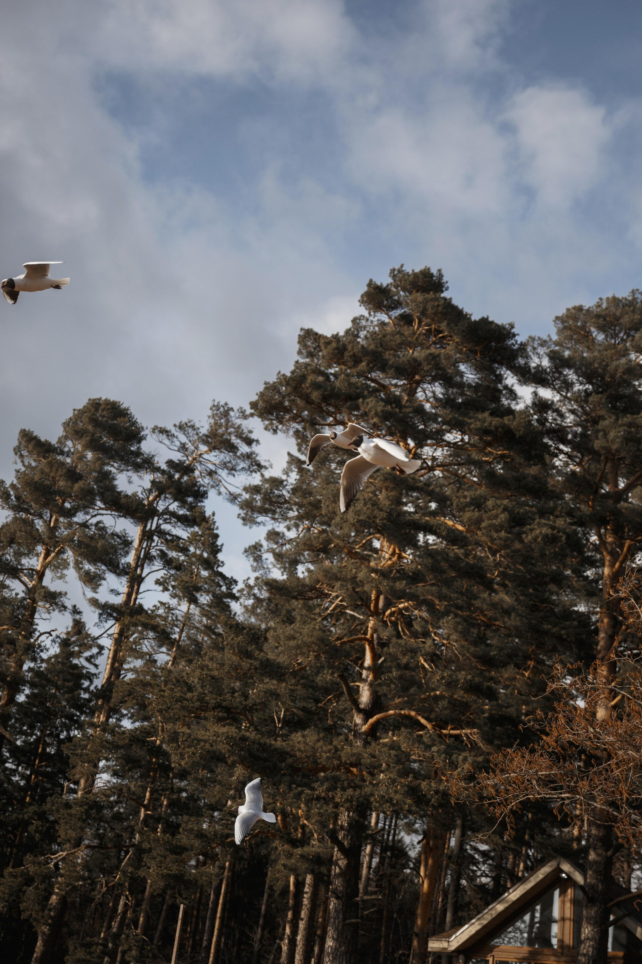 «Ветер. Море. Песок. Финский.». Фотограф в Санкт-Петербурге Алексей Глазанов