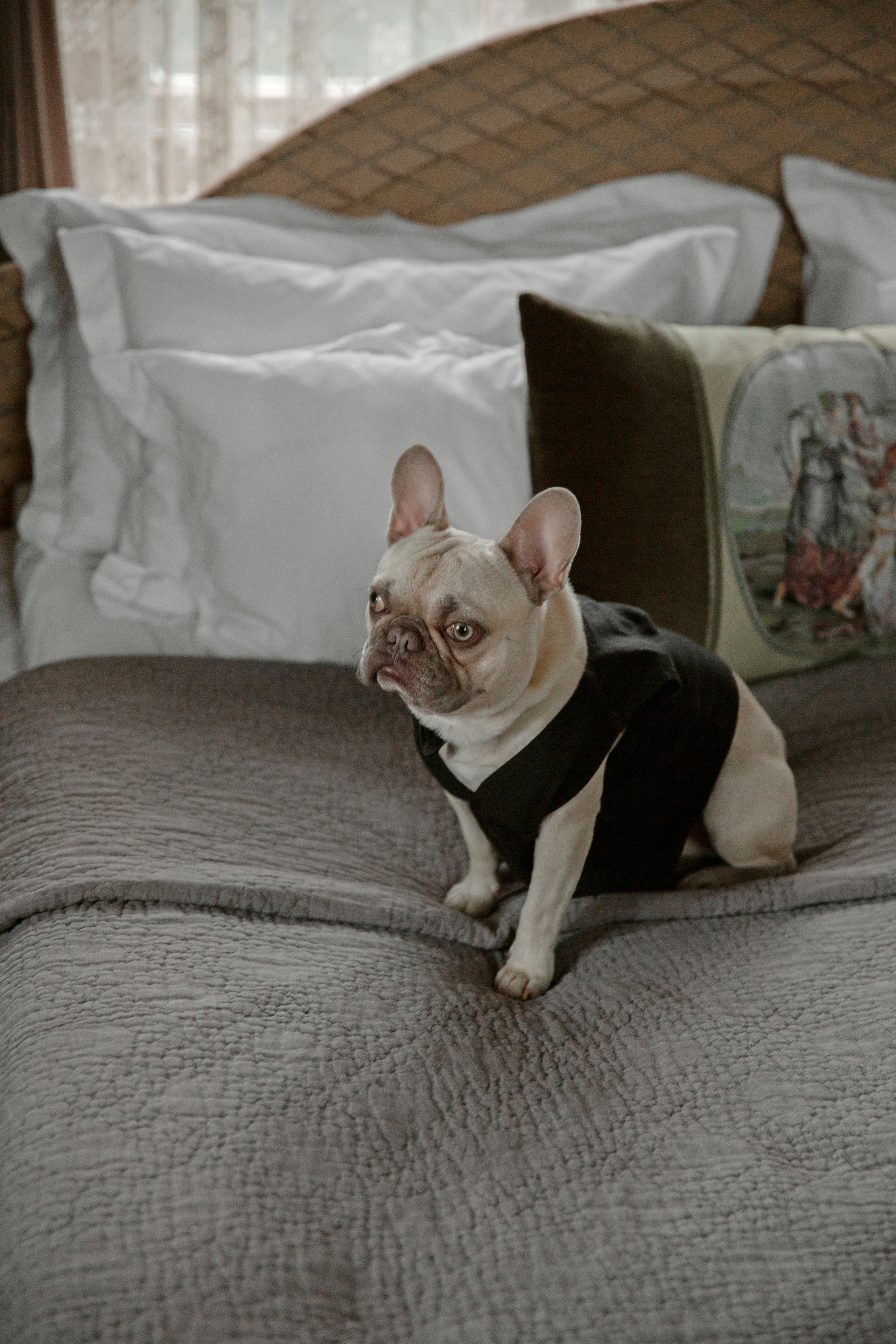 «La castle BIP». Фотограф в Санкт-Петербурге Алексей Глазанов