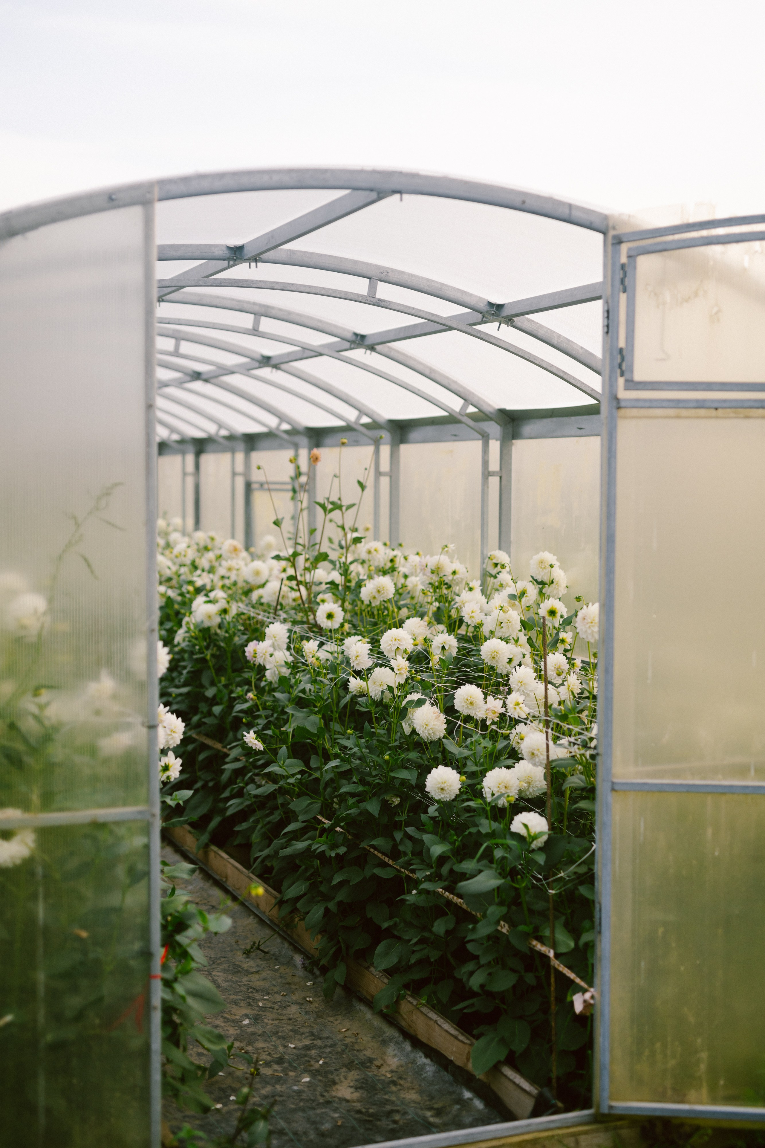 Пряный август. Варвара Синицына: семейный фотограф в Москве