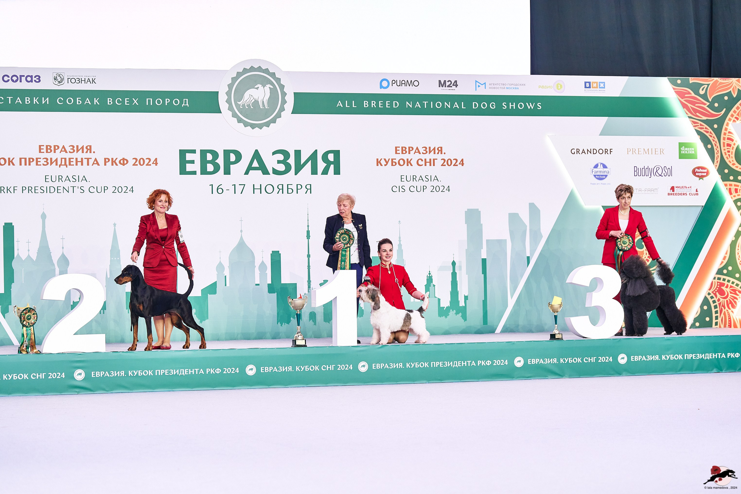 16.11.2024 «ЕВРАЗИЯ. КУБОК ПРЕЗИДЕНТА РКФ 2024»