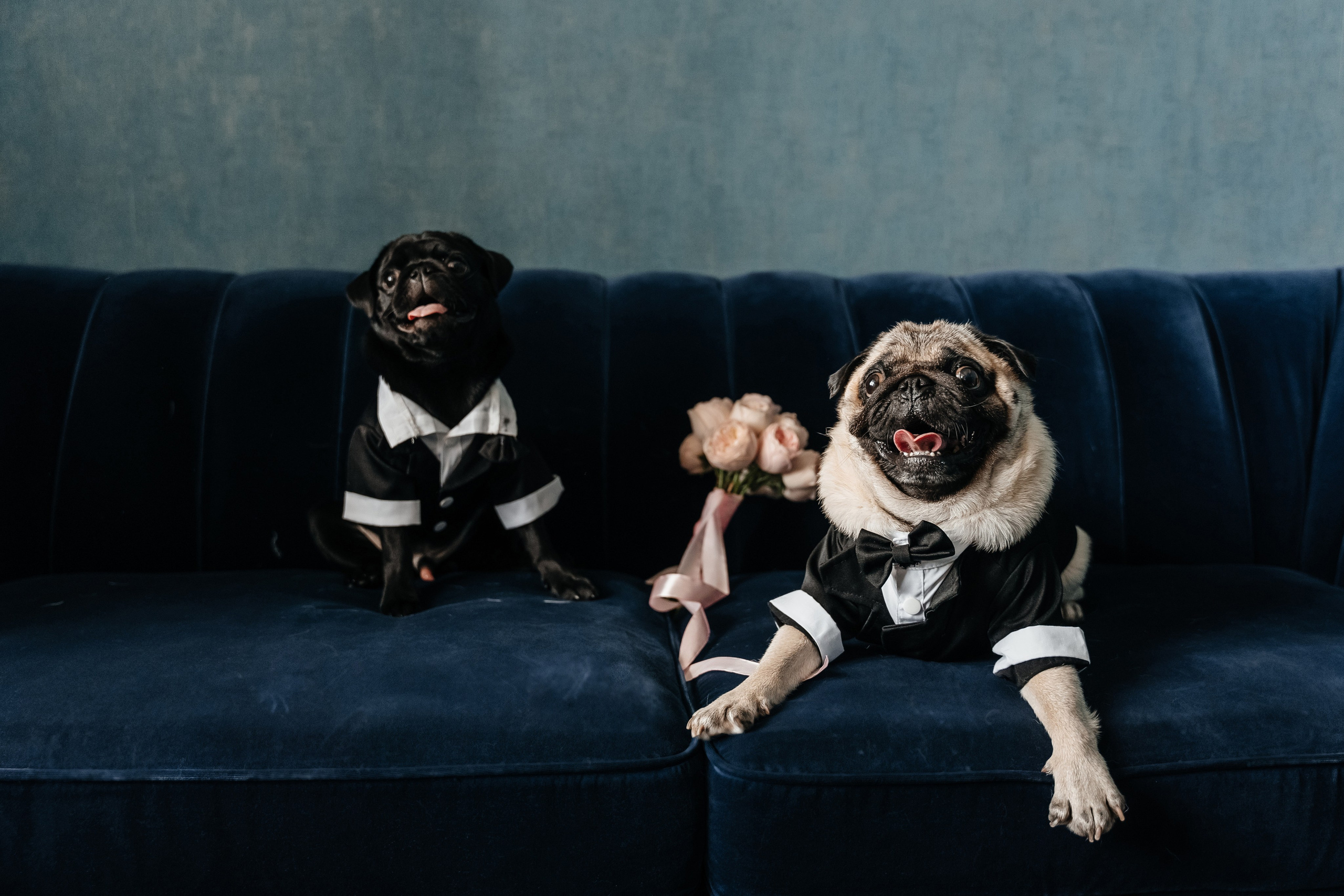 Юля и Ваня. Фотограф Кирилл Бабий