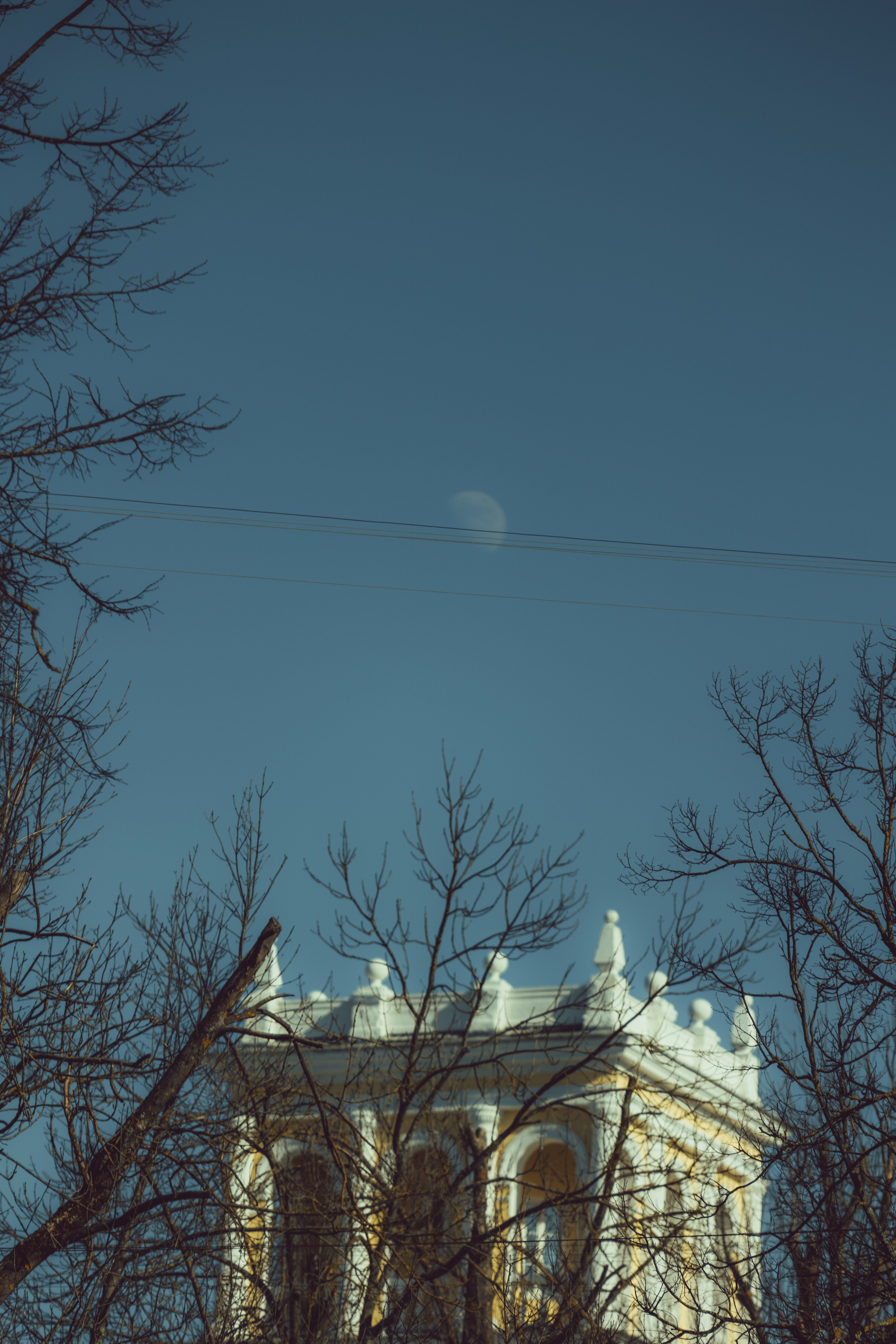 Международный Женский день — Смоленск 08.03.2025. KiPPER Gallery — Фотограф