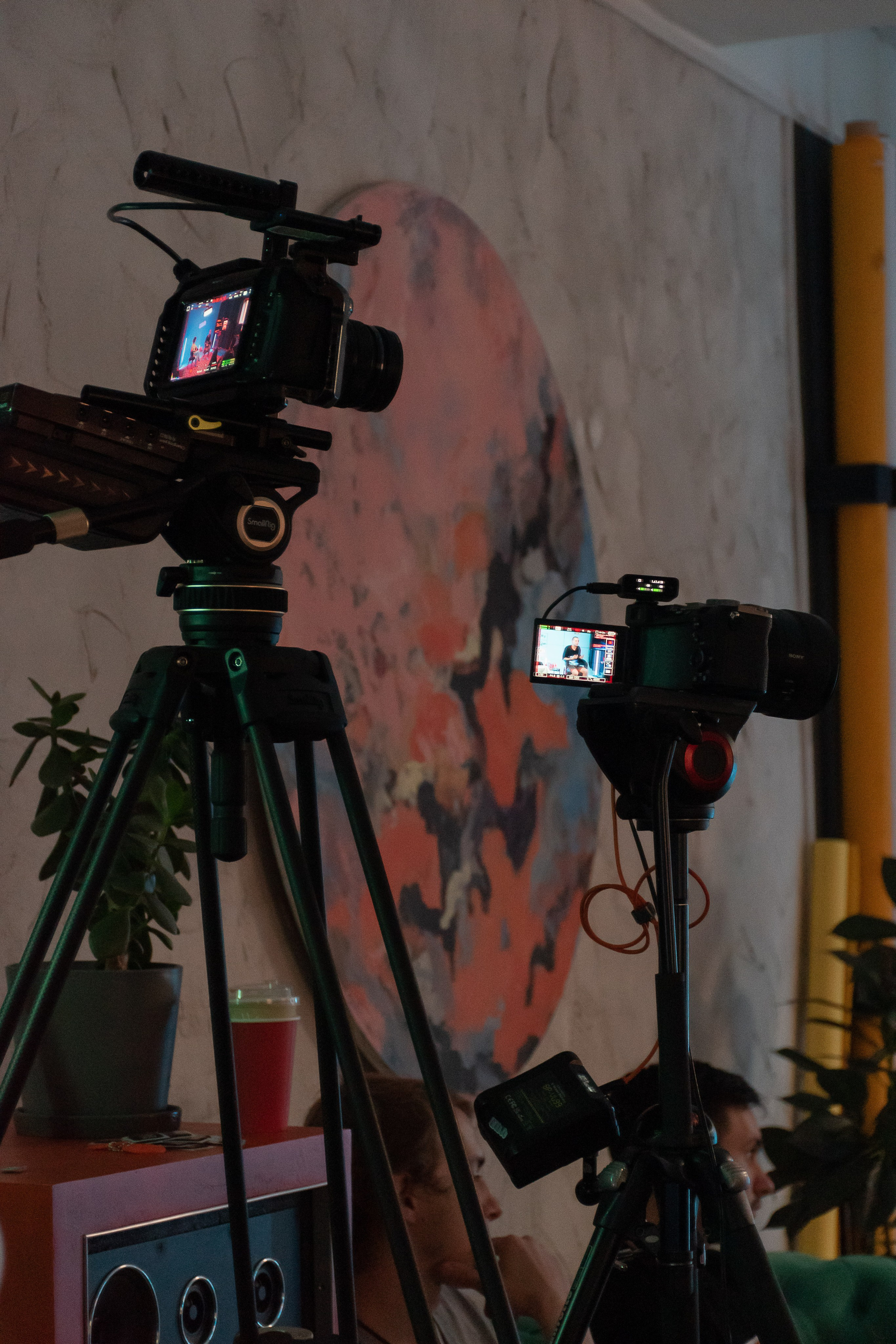 Backstage | lectory modjo school