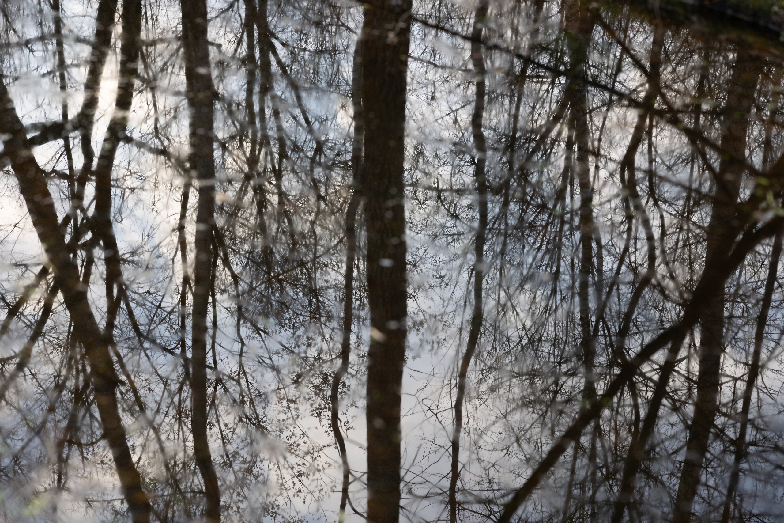 Art prints. Фотограф алина стерхова, алина стерхова фотограф, фотограф москва