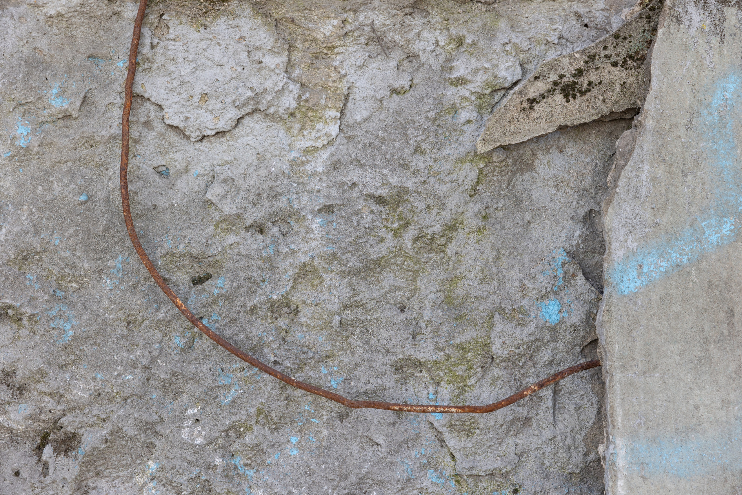 Art prints. Фотограф алина стерхова, алина стерхова фотограф, фотограф москва