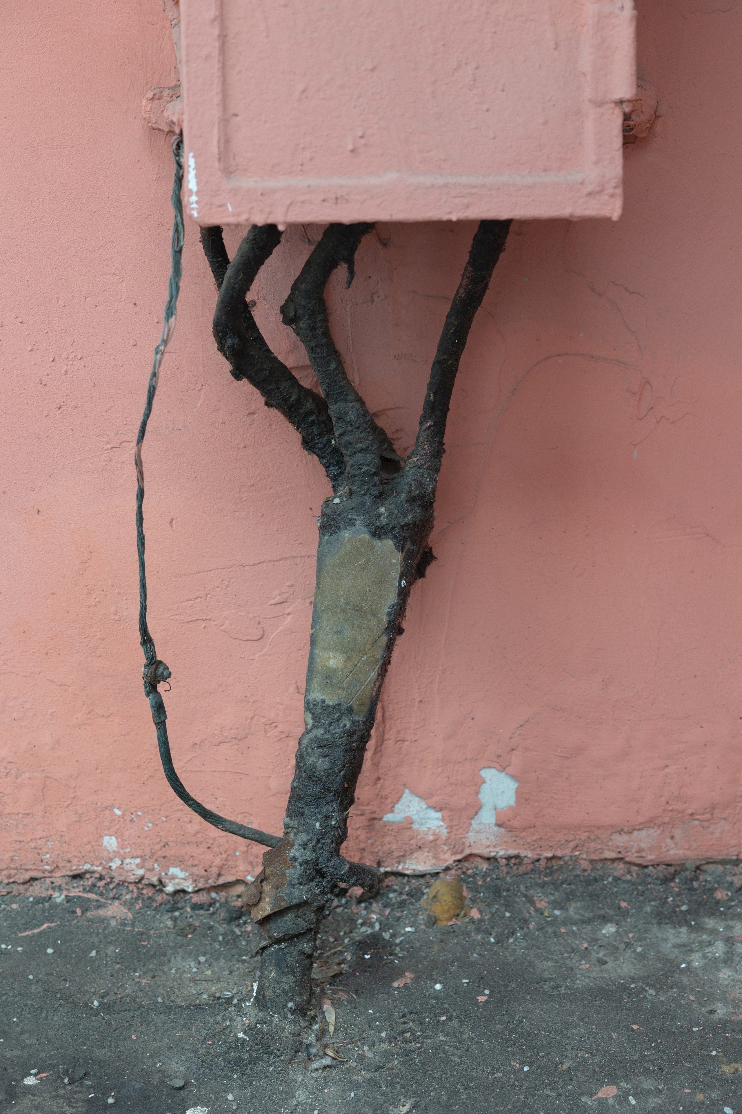 Art prints. Фотограф алина стерхова, алина стерхова фотограф, фотограф москва