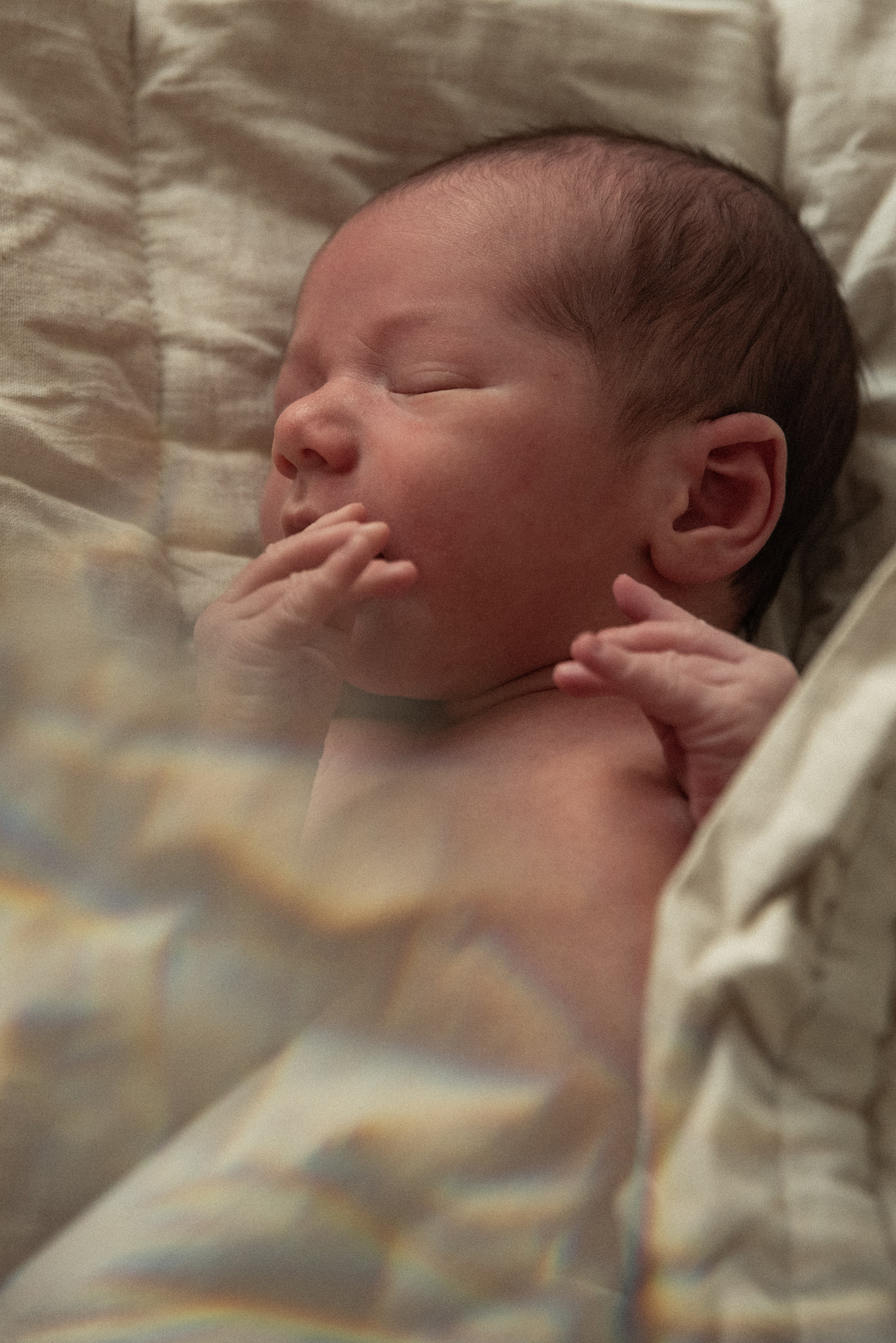 День встречи. Семейный и детский фотограф в Санкт-Петербурге Татьяна Дмитренко