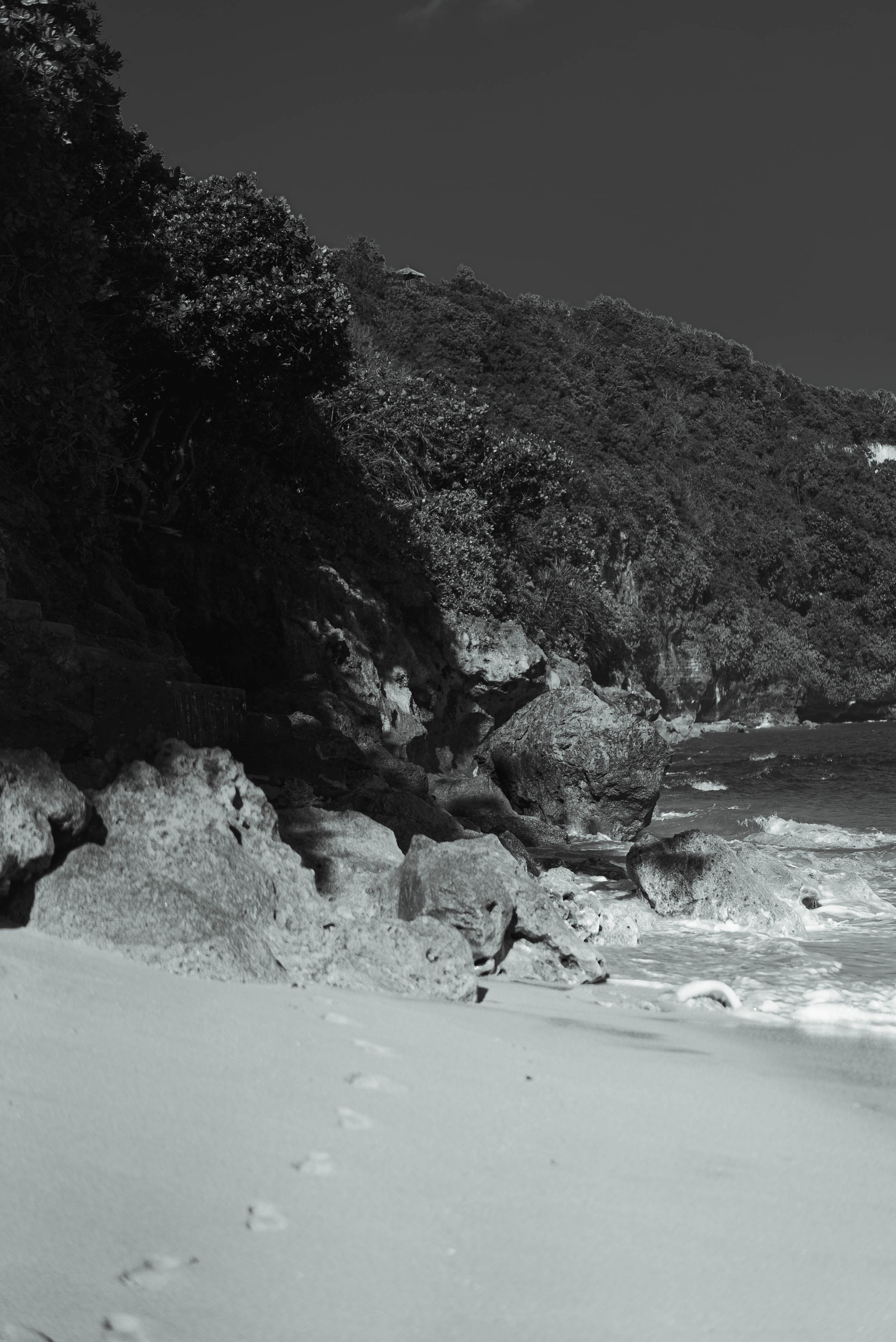 Life/Portrait. Aurora_movie