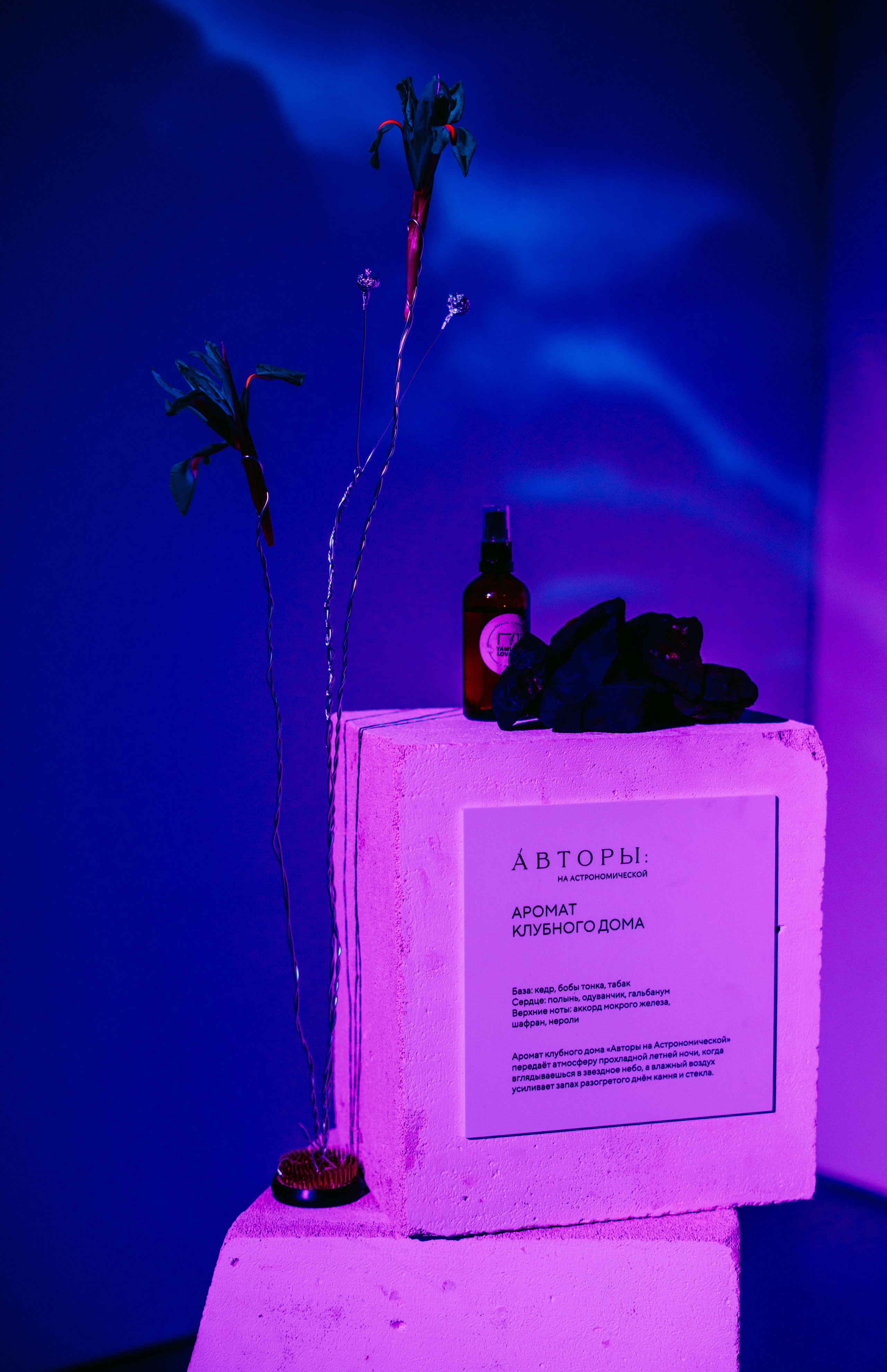 Авторы. Презентация ЖК / 2025. Саша Копылов, фотограф в Казани