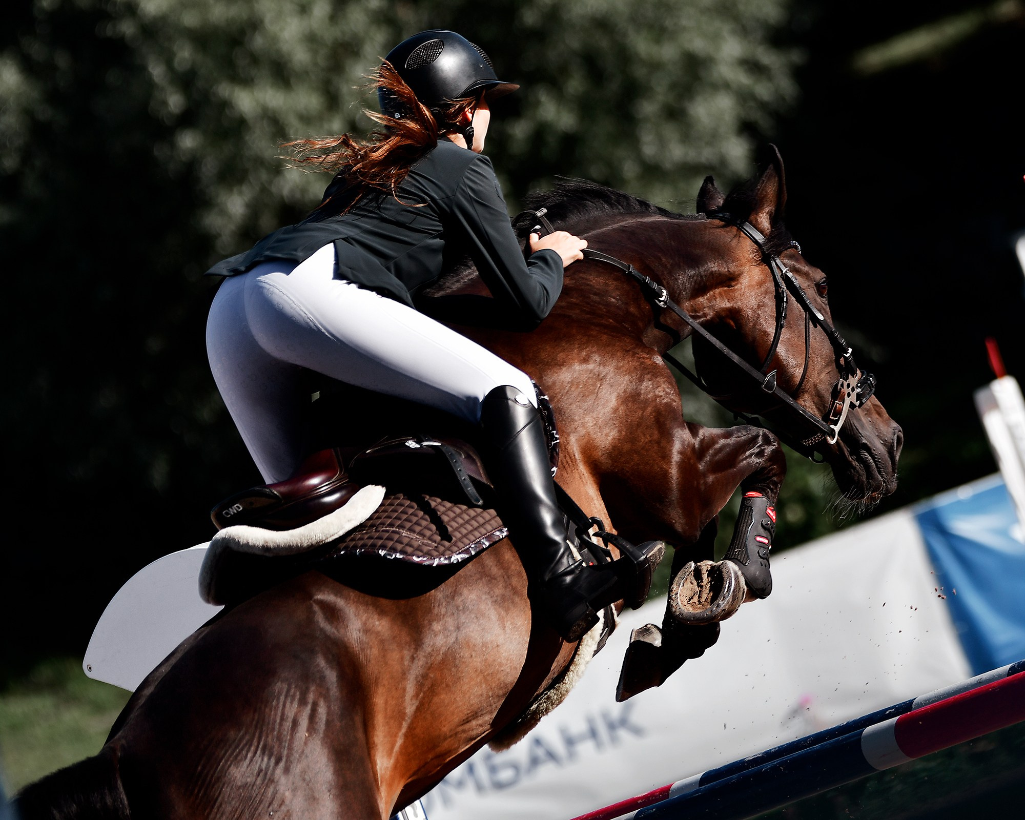 Спортивная конная фотография