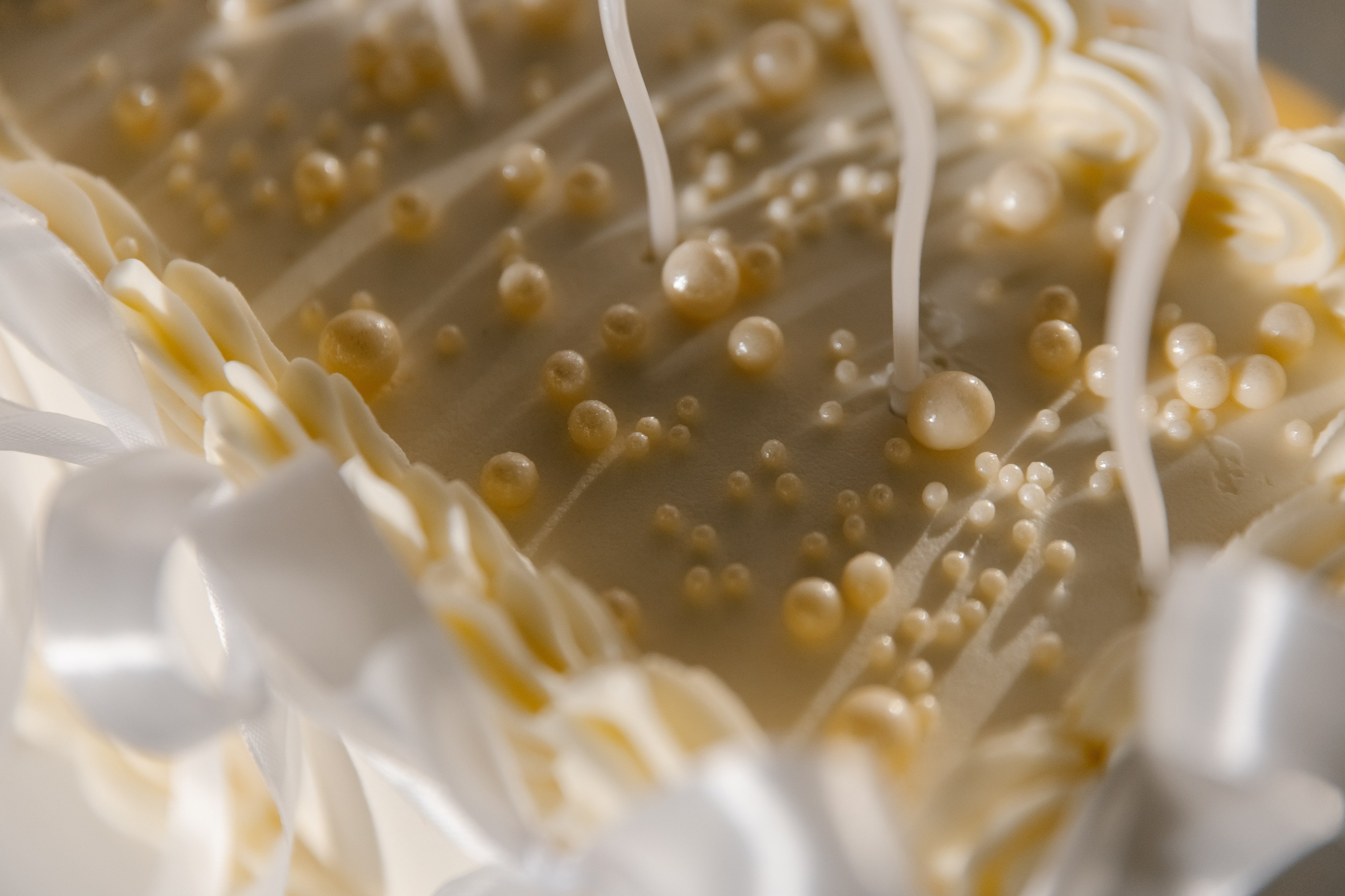 Вероника и Артем. Свадебный и семейный фотограф в Таганроге и Ростове Руднева Анастасия