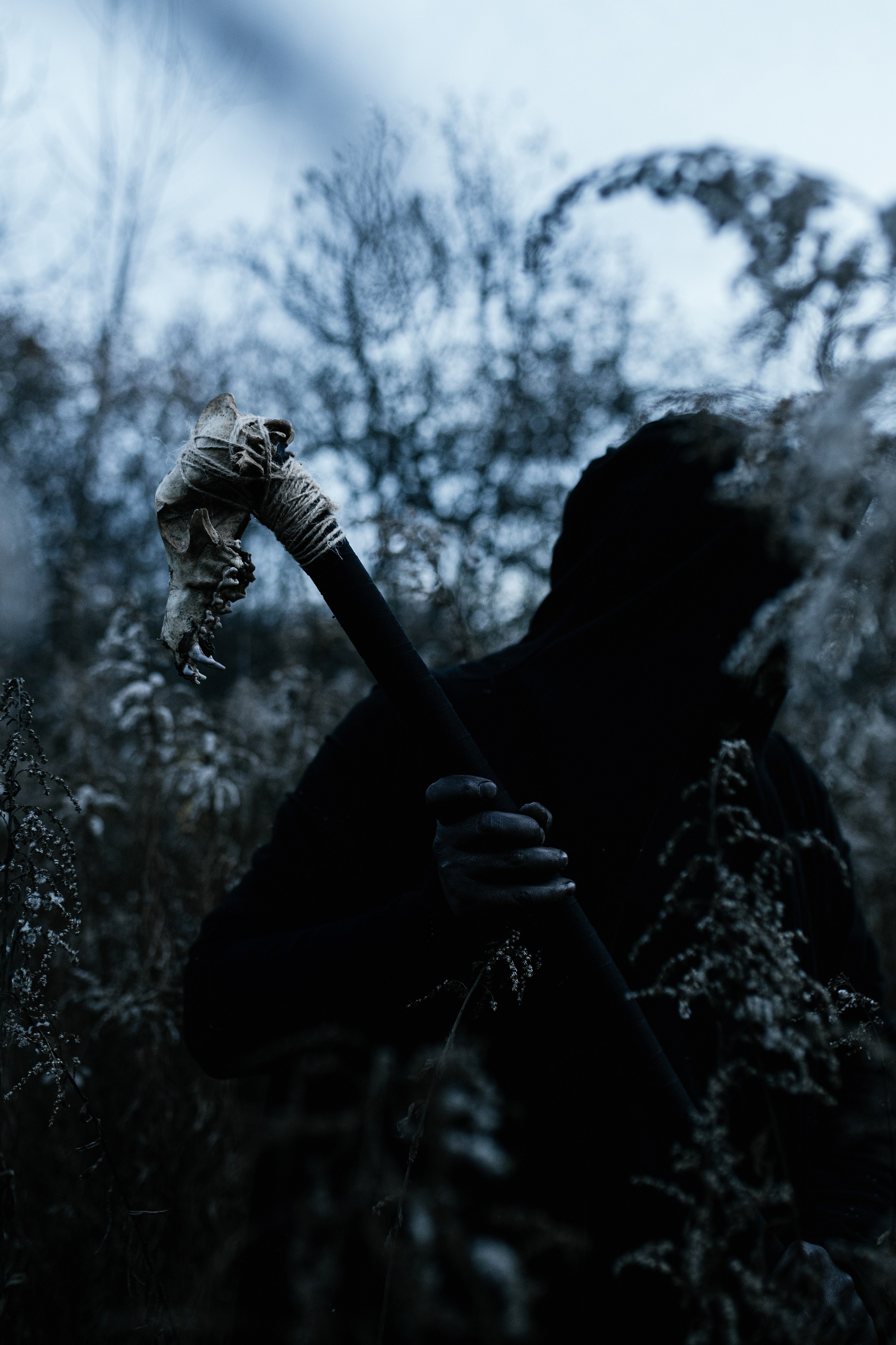 Guardian of the Forest. Свадебный, семейный фотограф в Рязани Лена Брант