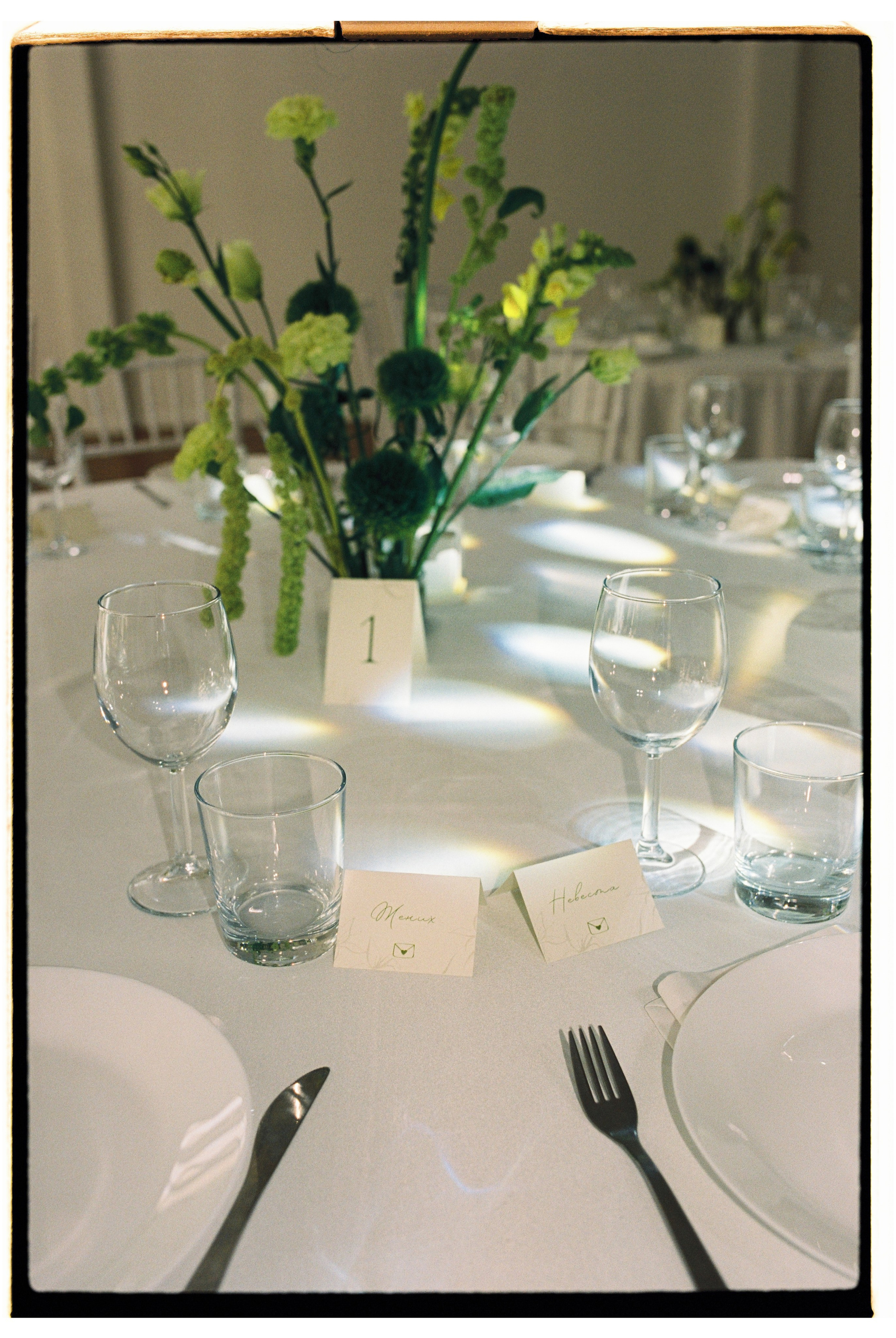 Плюс тридцать градусов на лужайке. Фотограф Андрей Куськало