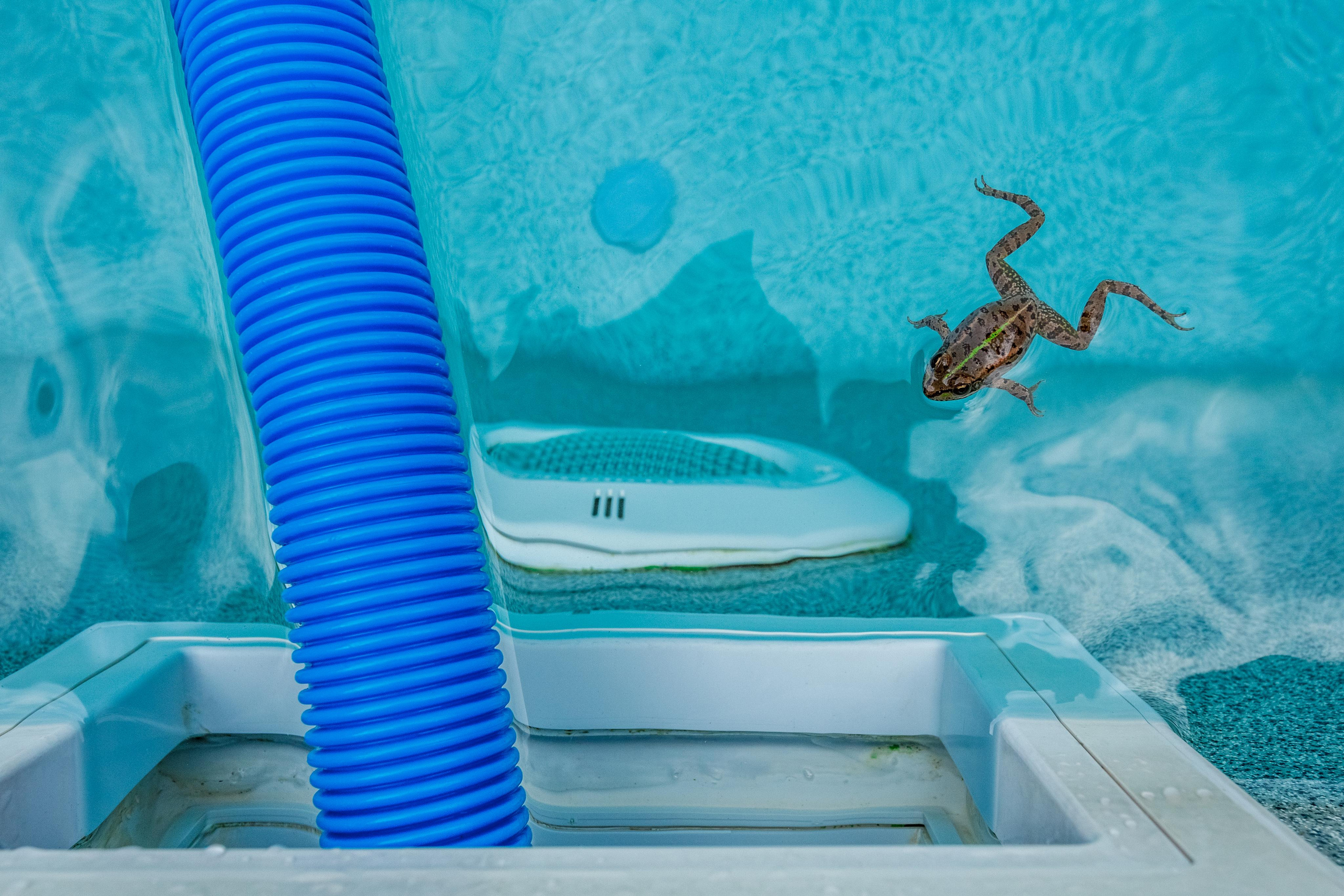 Фотосъёмка бассейнов. Алексей Шмуль