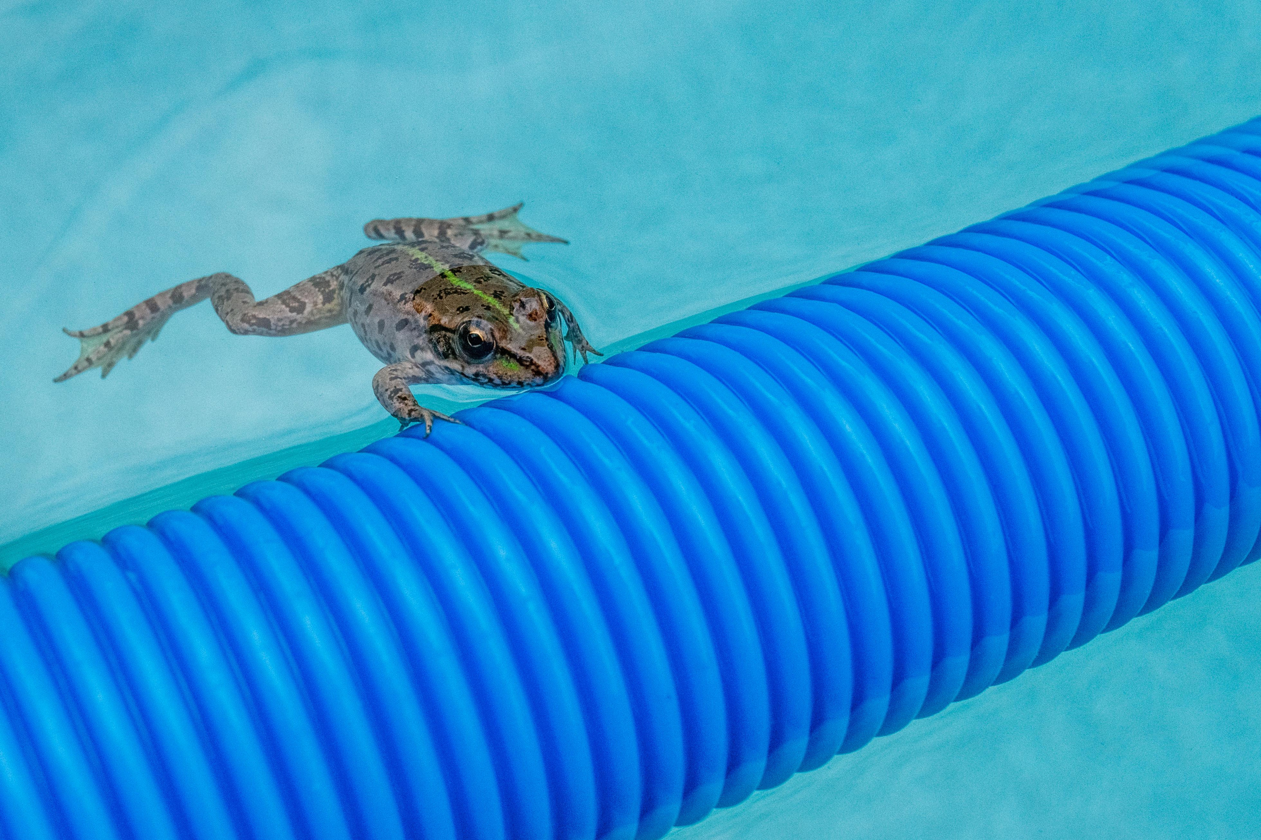 Фотосъёмка бассейнов. Алексей Шмуль