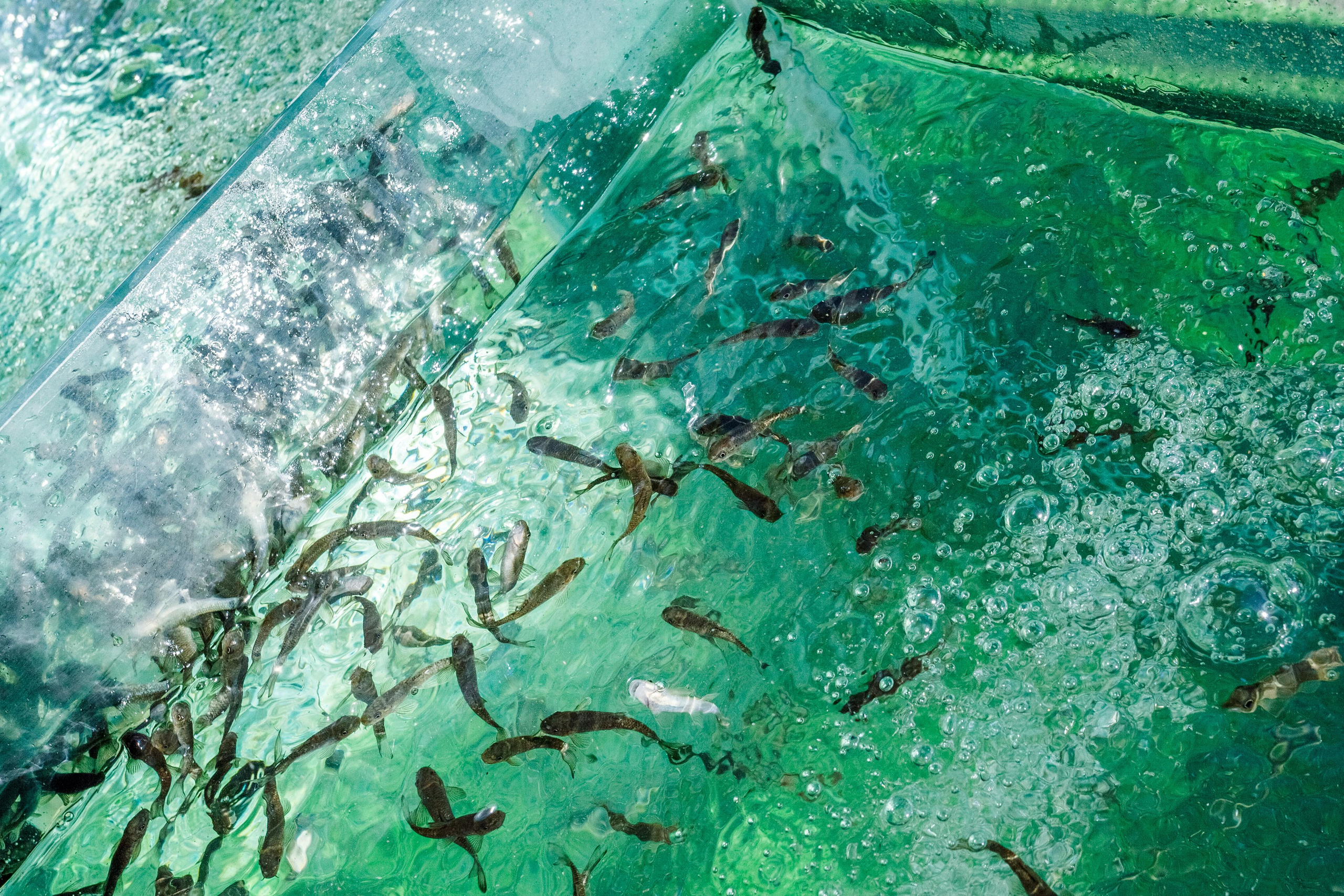 Фотосъёмка для отелей. Алексей Шмуль