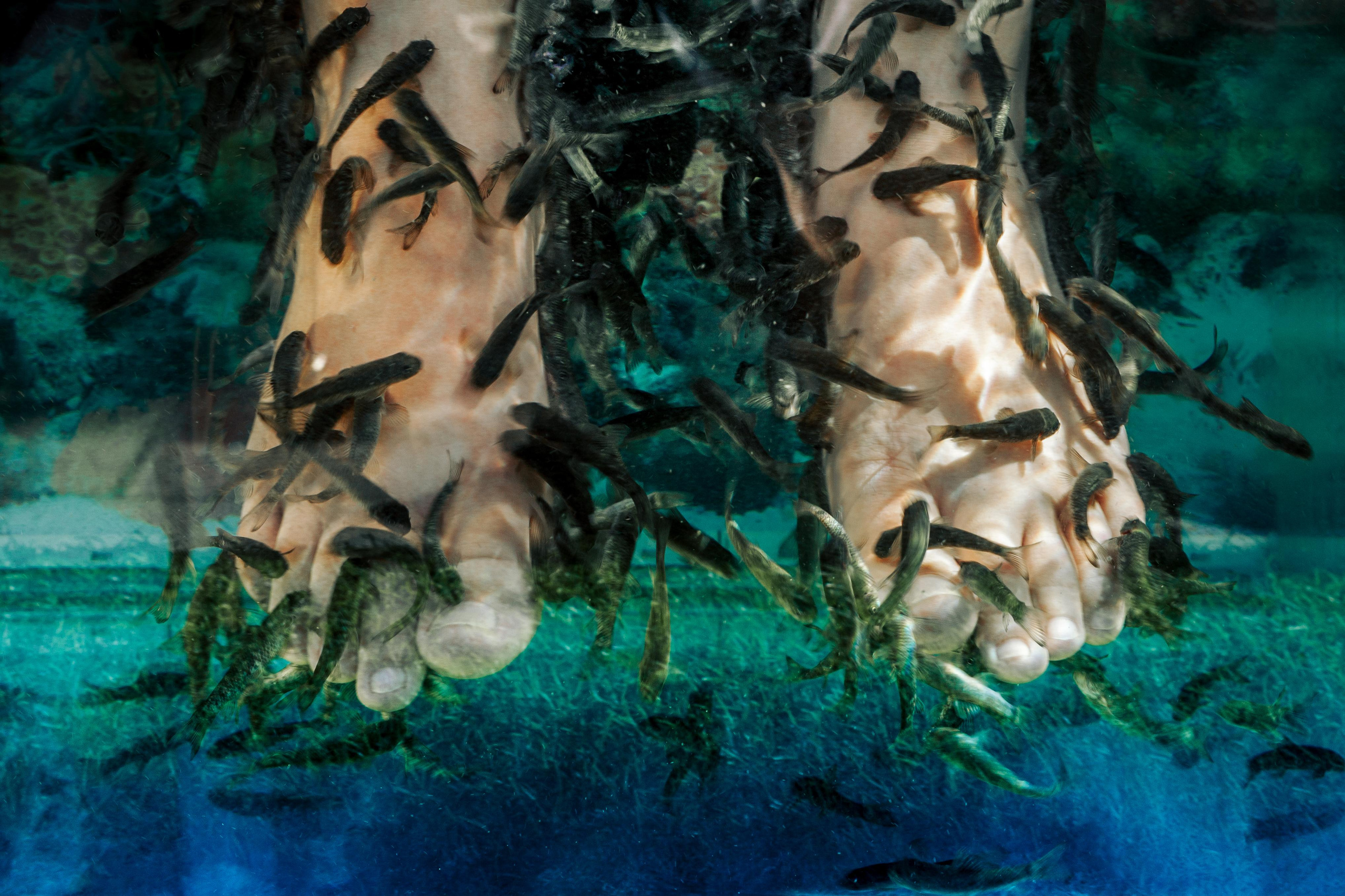 Фотосъёмка для отелей. Алексей Шмуль